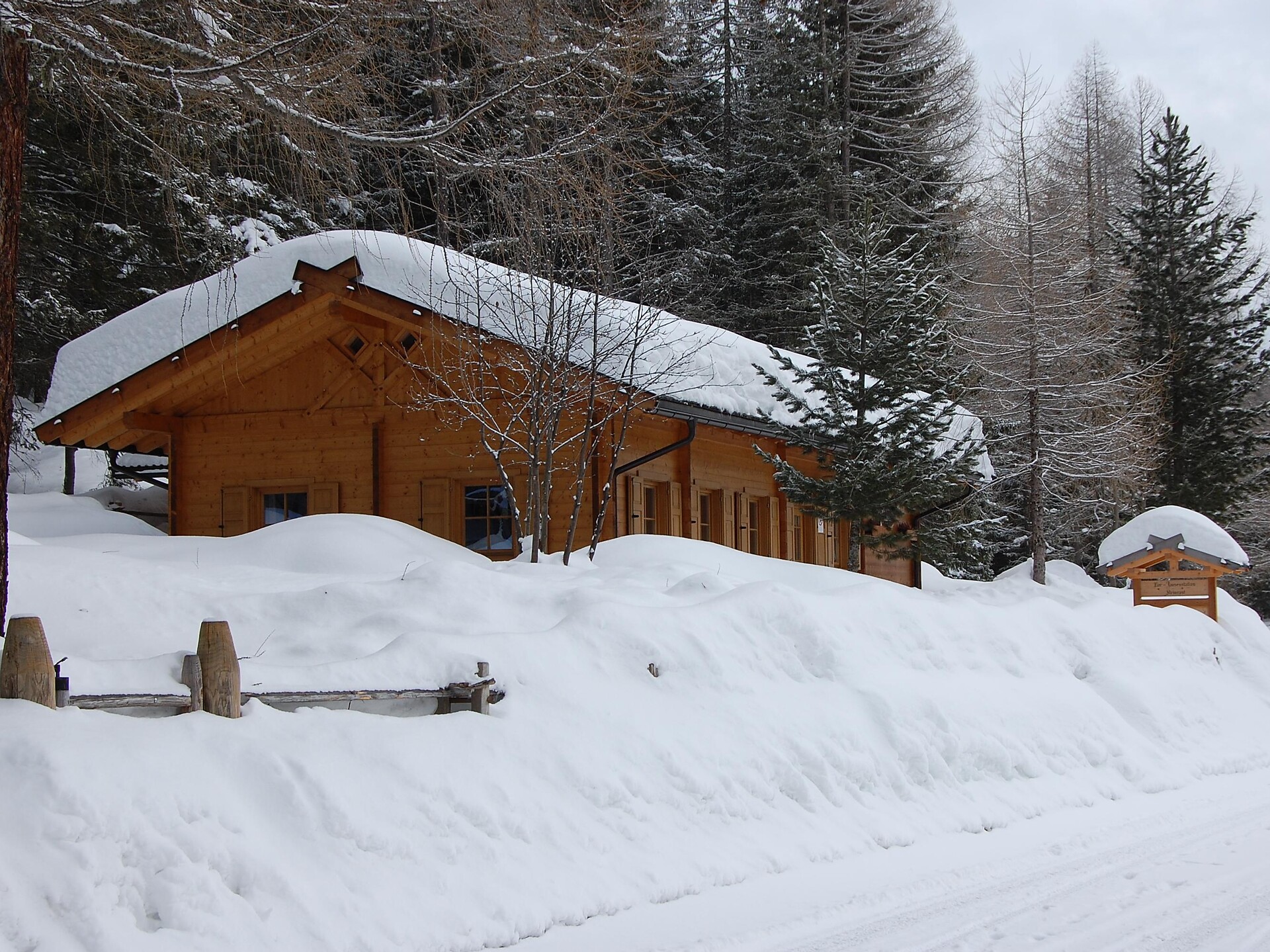 winter