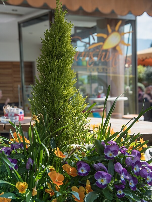Bar Café Sunshine