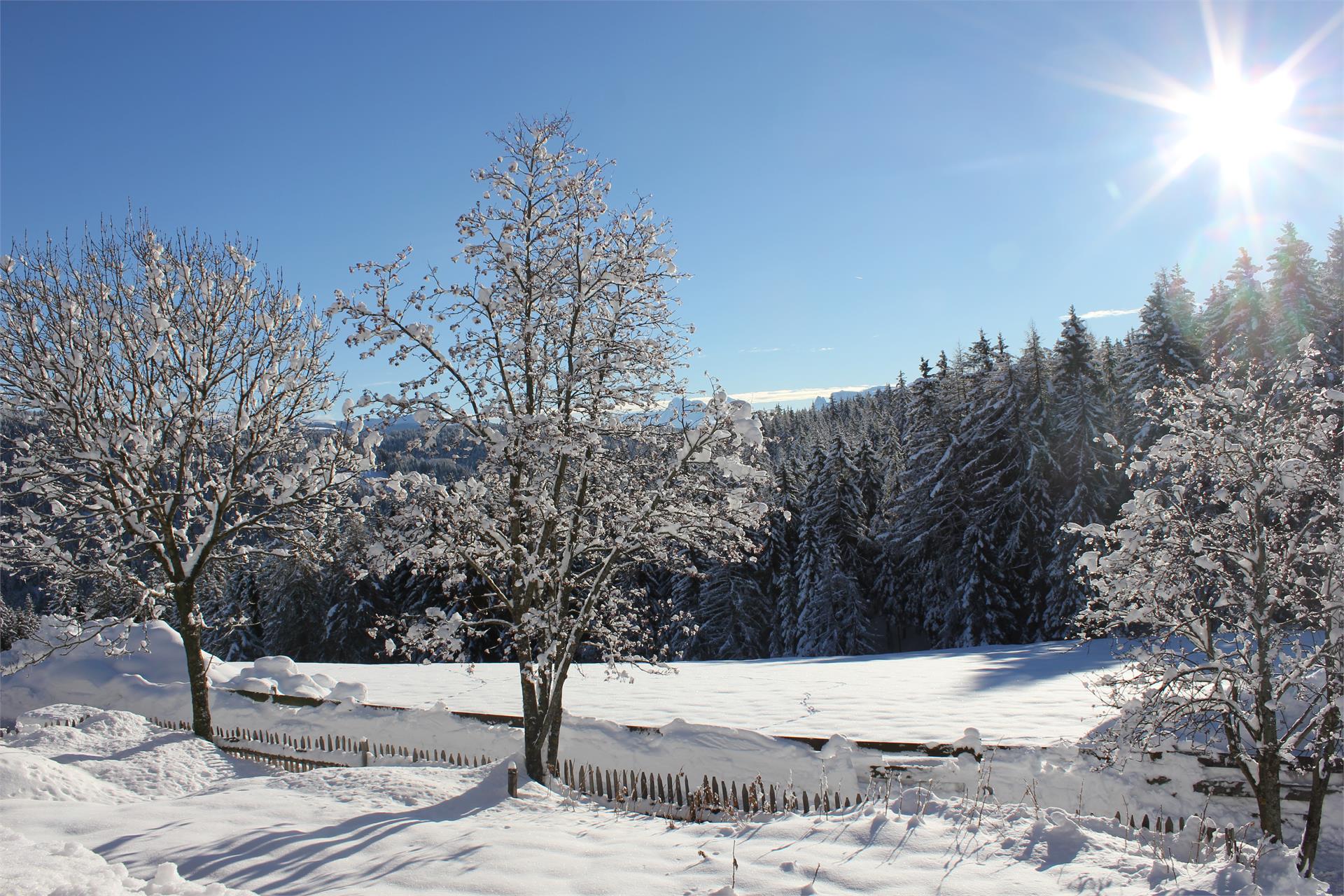 Berggasthof Lanzenschuster Jenesien 14 suedtirol.info
