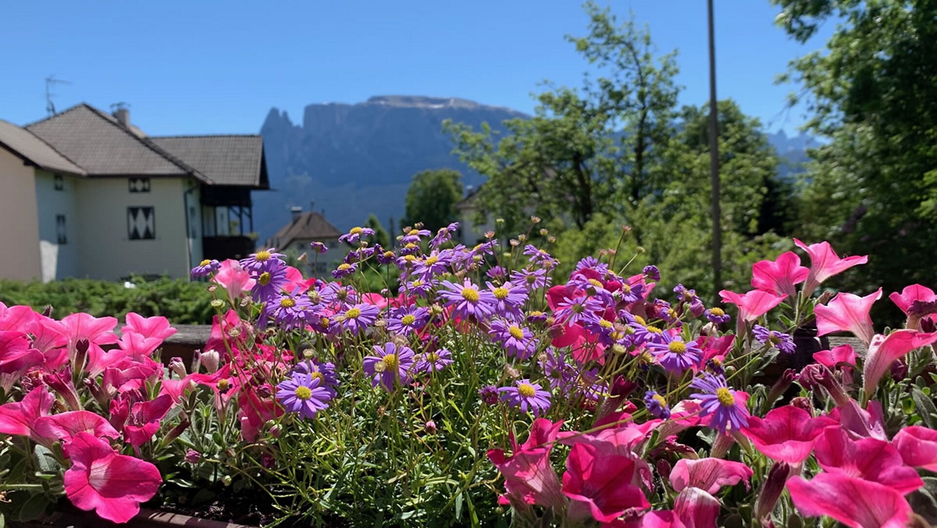 Café Lintner Klobenstein Ritten