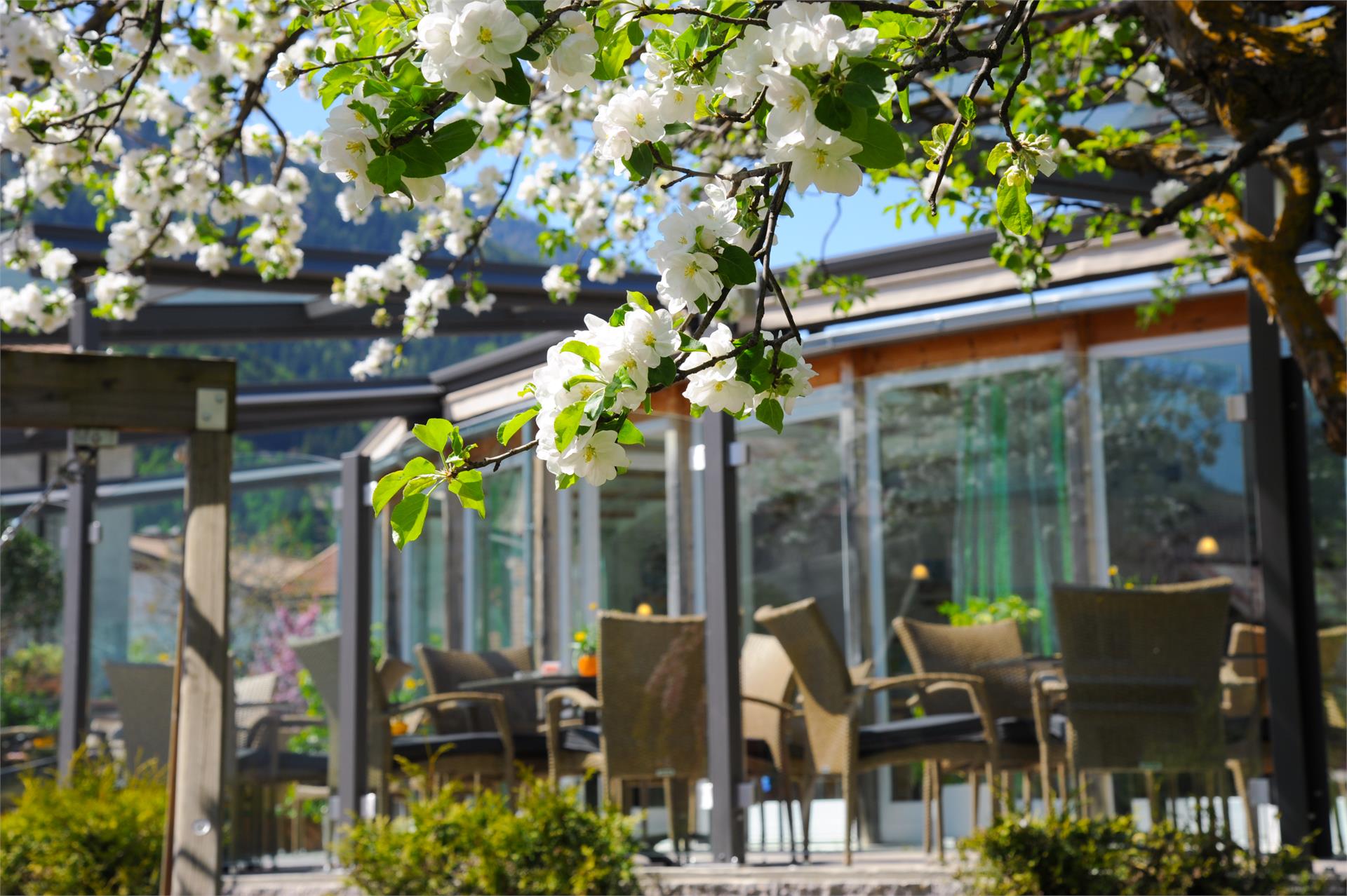 Camping Badlerhof Lasa 3 suedtirol.info