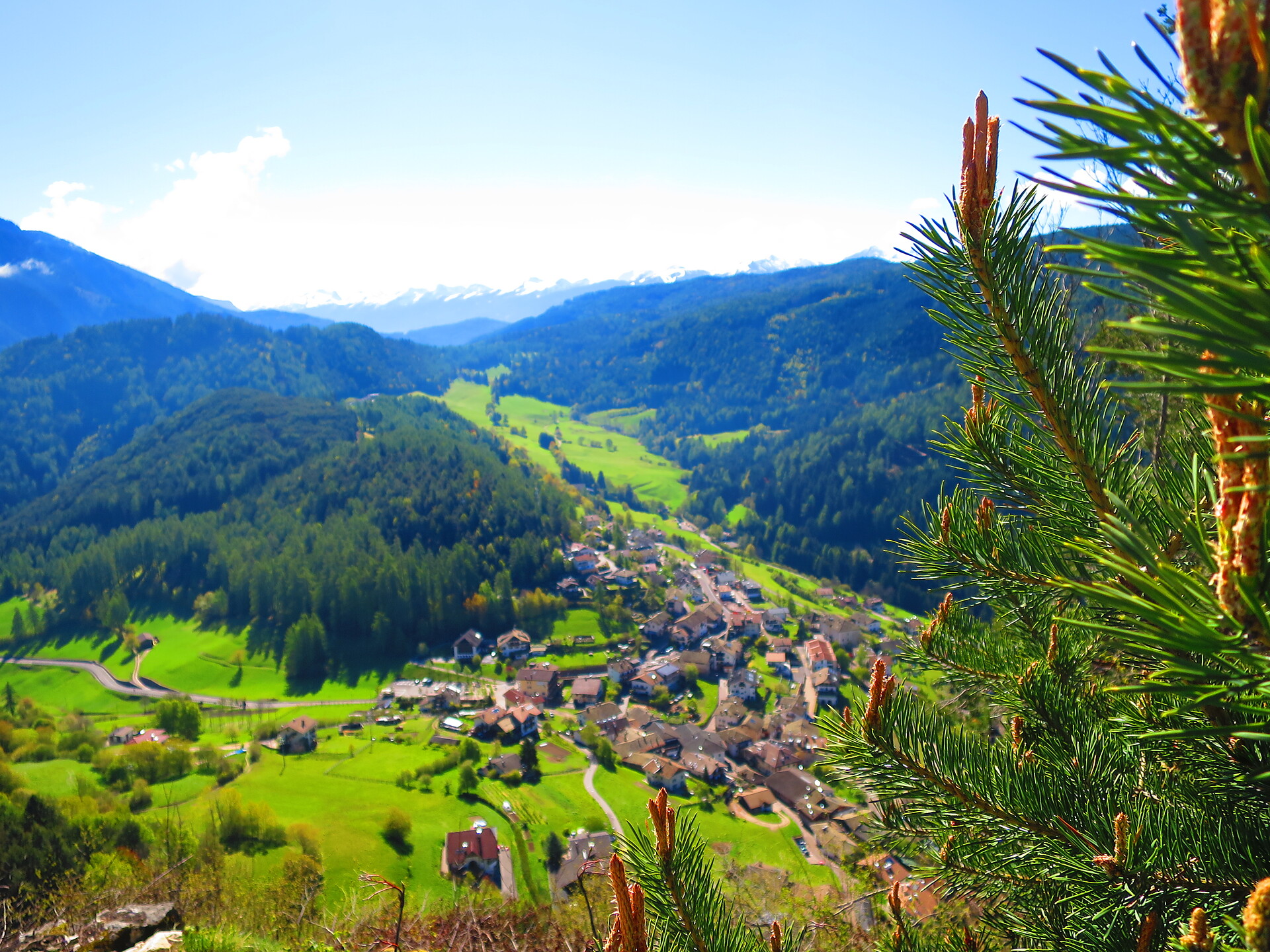 Cisloner Alm