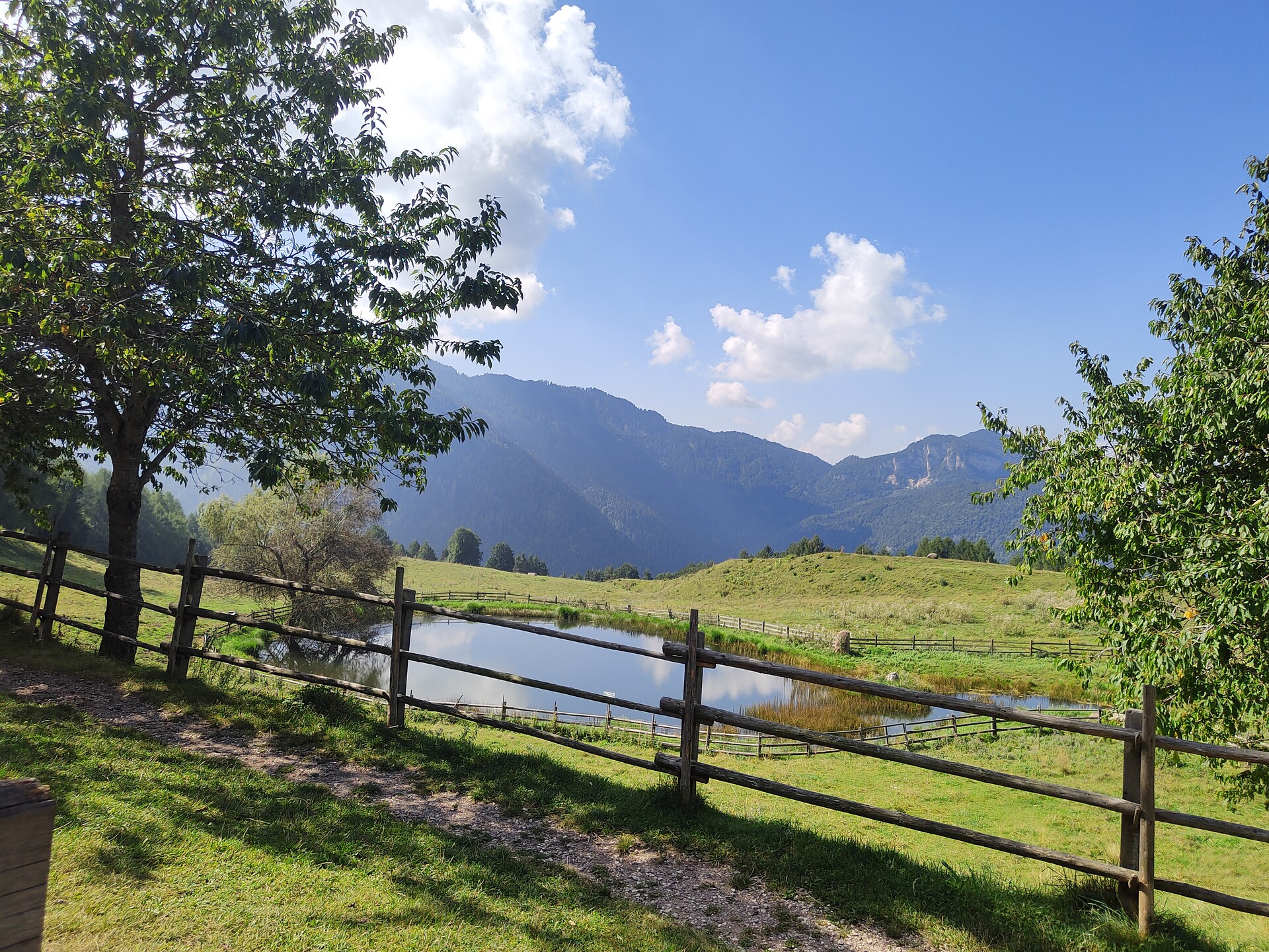 Cisloner Alm -  - #3 - suedtirol.info