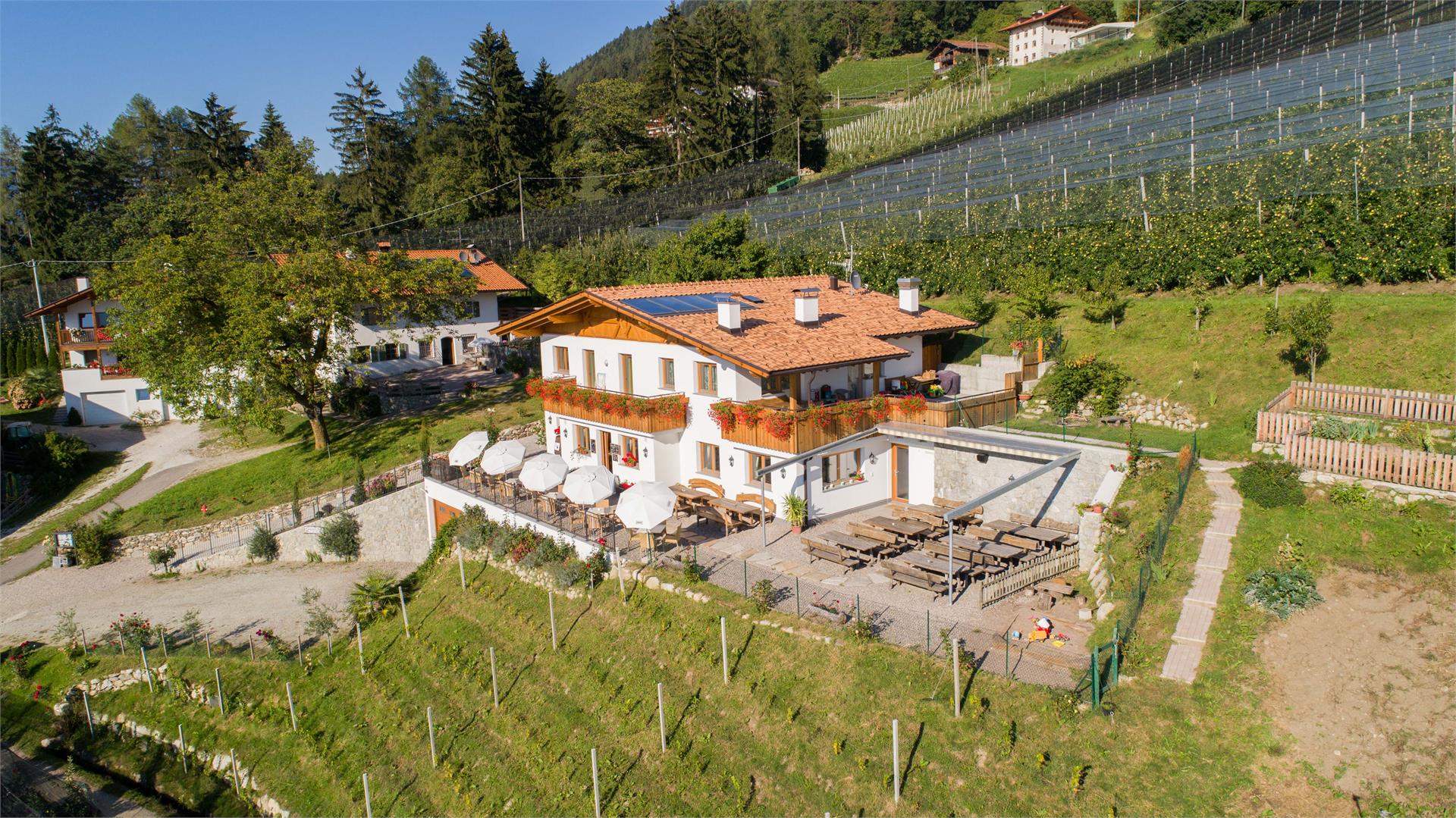 Cafe am Waal Scena 2 suedtirol.info