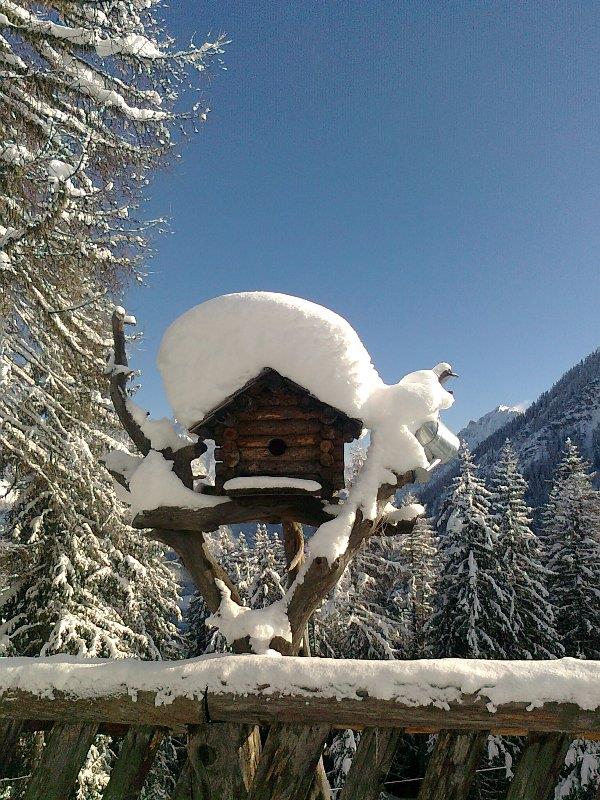 Ütia Col dl' Ancona San Martin /San Martino 15 suedtirol.info