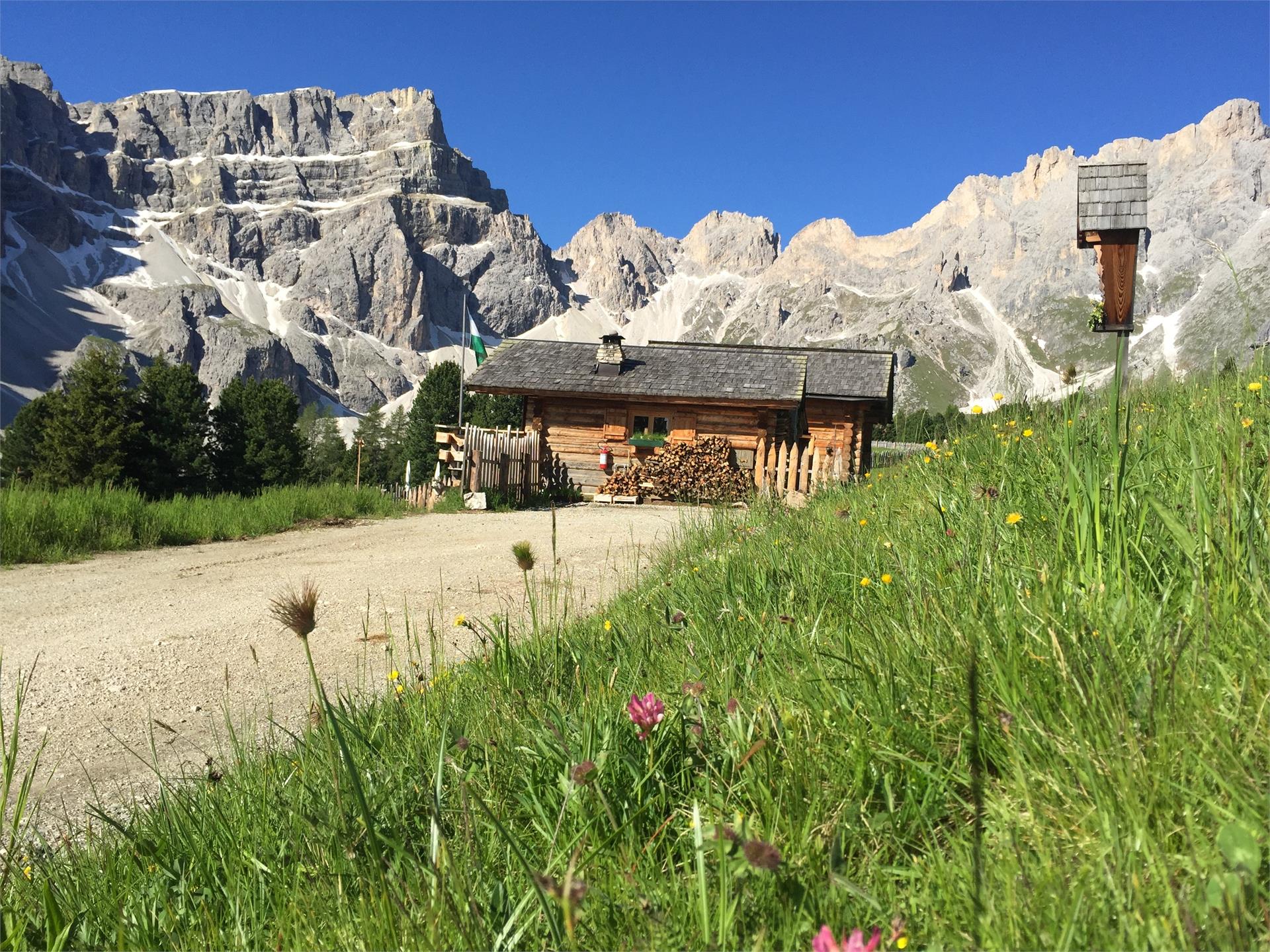 Ütia Ciampcios San Martin /San Martino 2 suedtirol.info