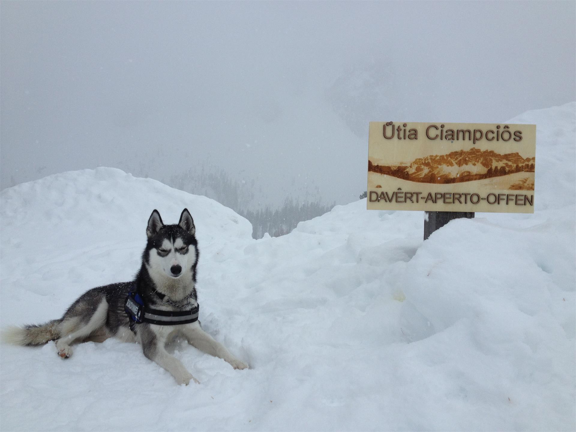 Ütia Ciampcios San Martin /San Martino 5 suedtirol.info