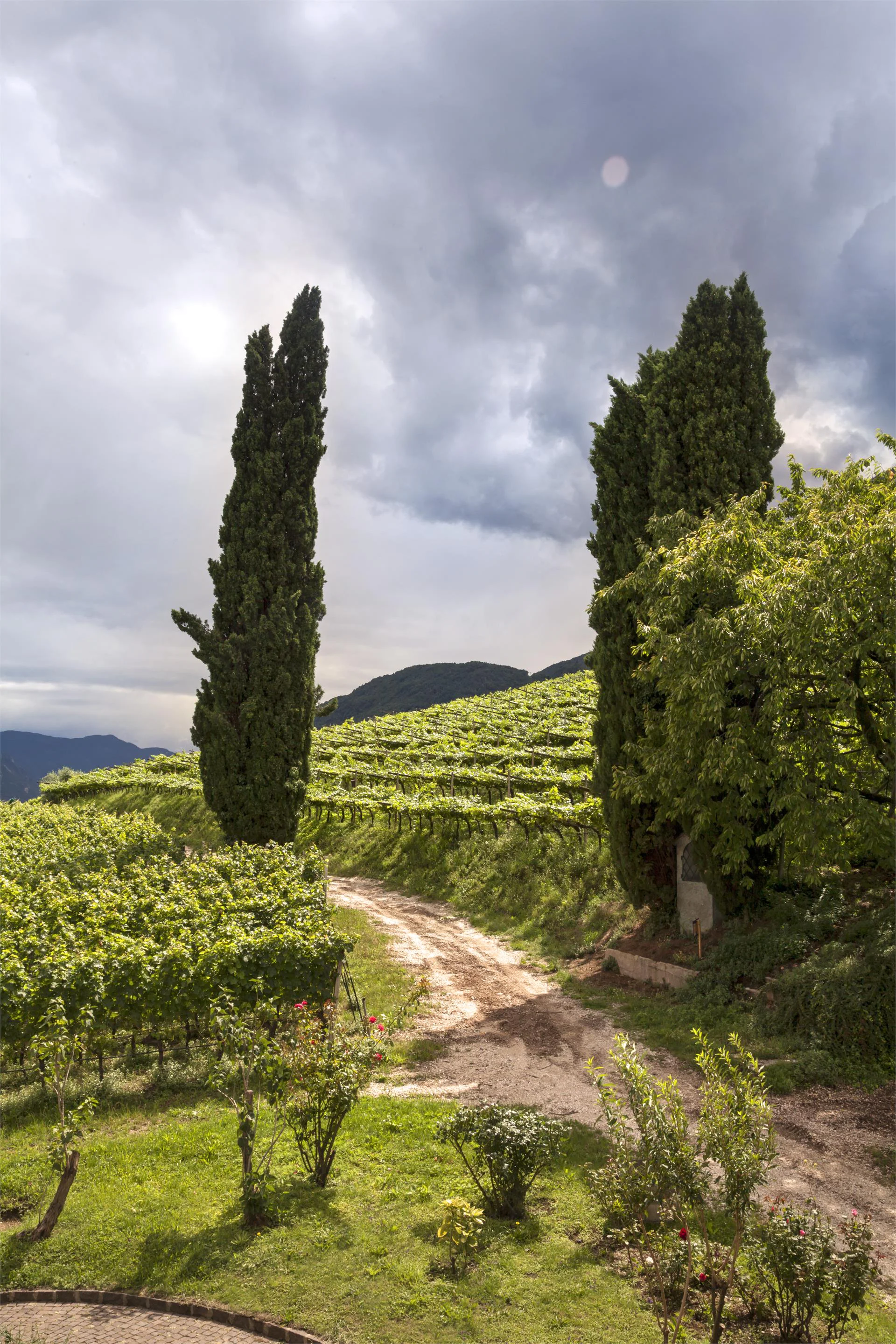Ostaria al castello Castel Ringberg Kaltern an der Weinstraße/Caldaro sulla Strada del Vino 4 suedtirol.info