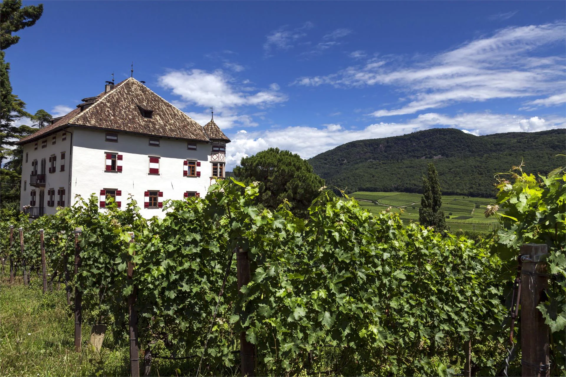 Ostaria al castello Castel Ringberg Kaltern an der Weinstraße/Caldaro sulla Strada del Vino 8 suedtirol.info