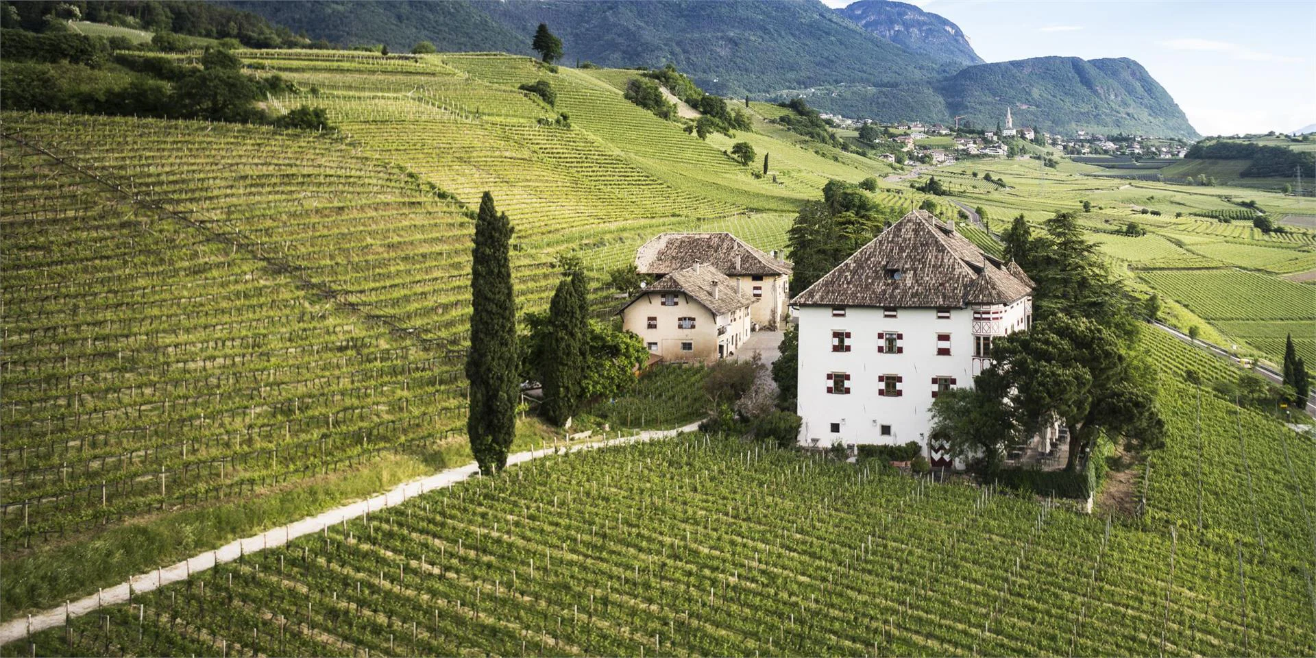 Ostaria al castello Castel Ringberg Kaltern an der Weinstraße/Caldaro sulla Strada del Vino 1 suedtirol.info