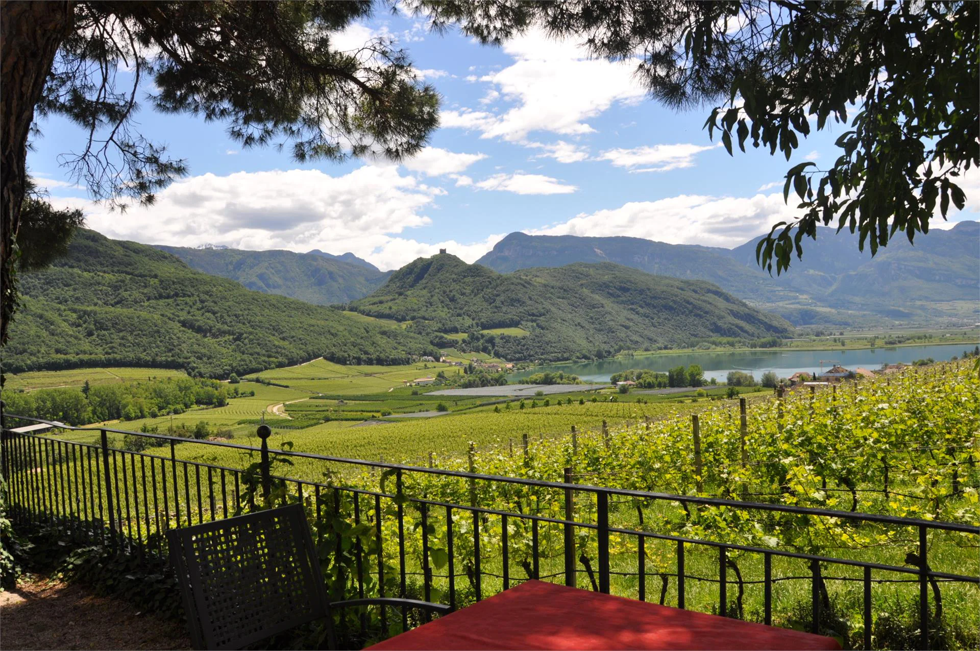 Ostaria al castello Castel Ringberg Kaltern an der Weinstraße/Caldaro sulla Strada del Vino 14 suedtirol.info