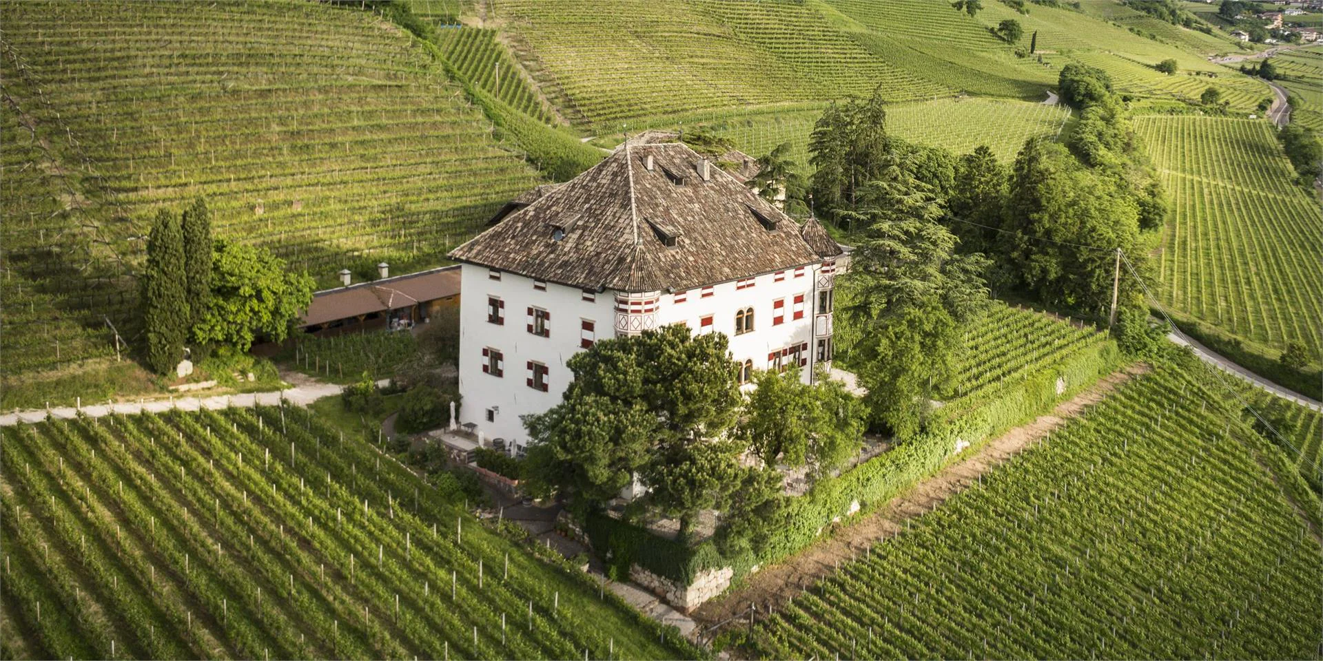 Ostaria al castello Castel Ringberg Kaltern an der Weinstraße/Caldaro sulla Strada del Vino 7 suedtirol.info