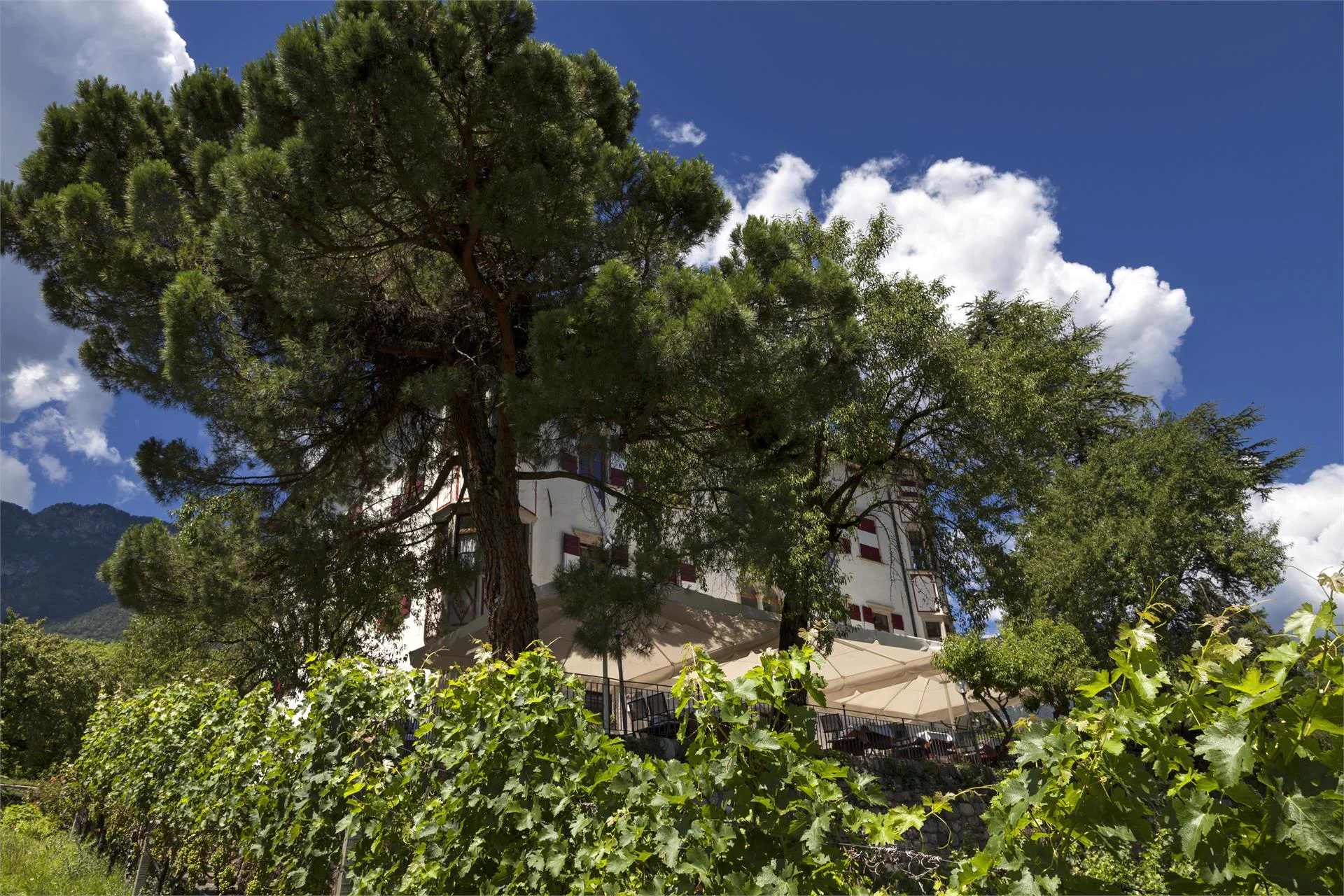 Ostaria al castello Castel Ringberg Kaltern an der Weinstraße/Caldaro sulla Strada del Vino 3 suedtirol.info