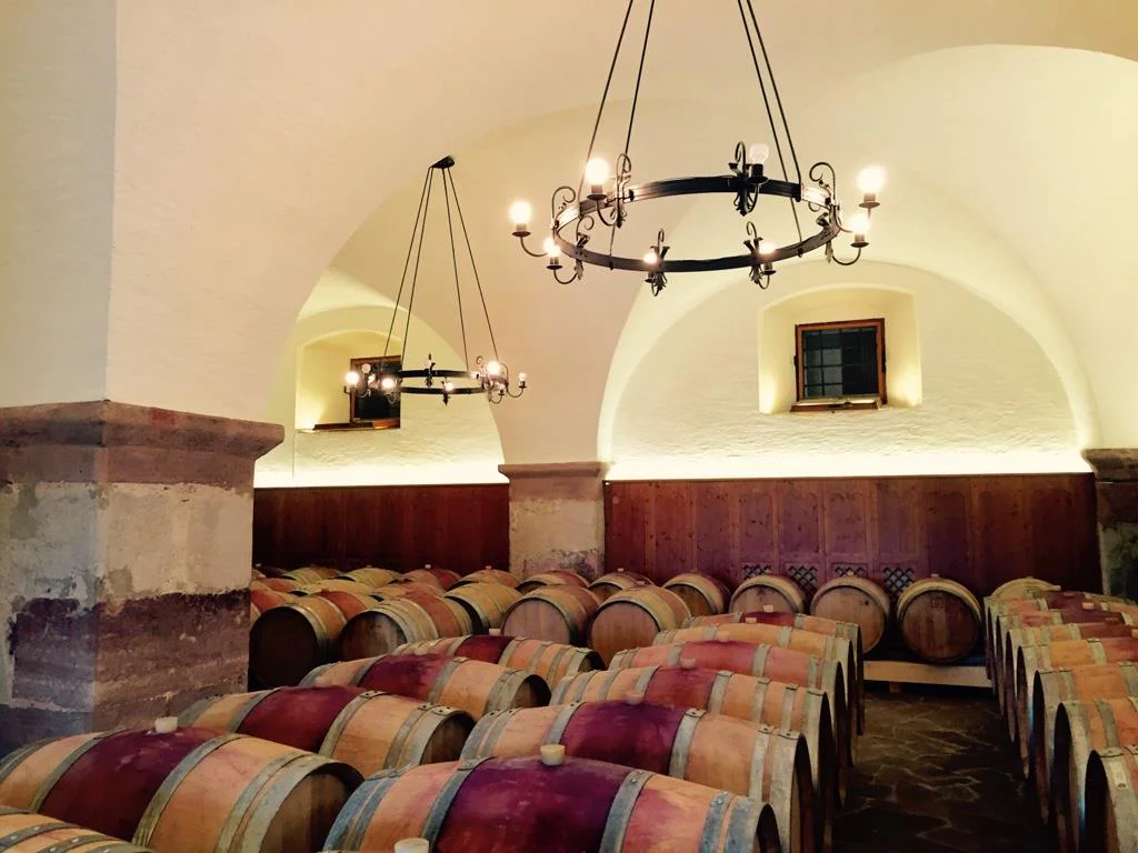 Ostaria al castello Castel Ringberg Kaltern an der Weinstraße/Caldaro sulla Strada del Vino 12 suedtirol.info
