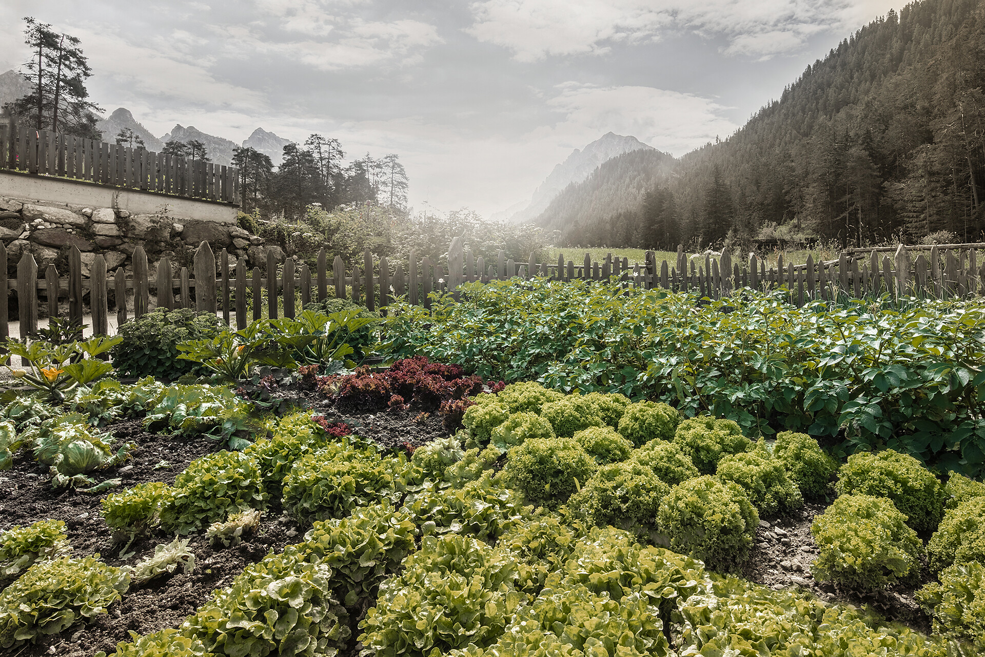 Berta's BIO garden