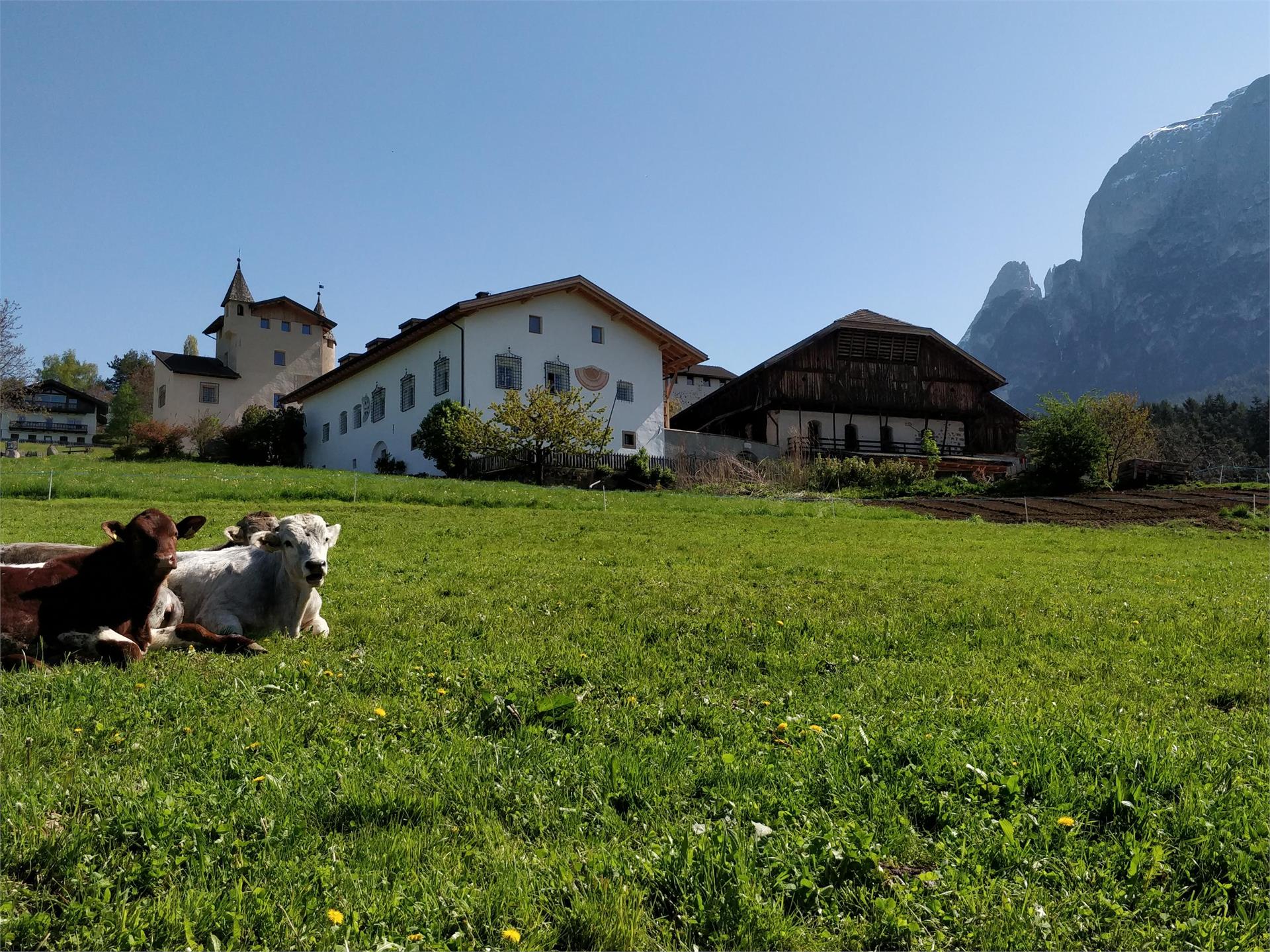Maso Edelansitz Zimmerlehen Fiè allo Sciliar 1 suedtirol.info