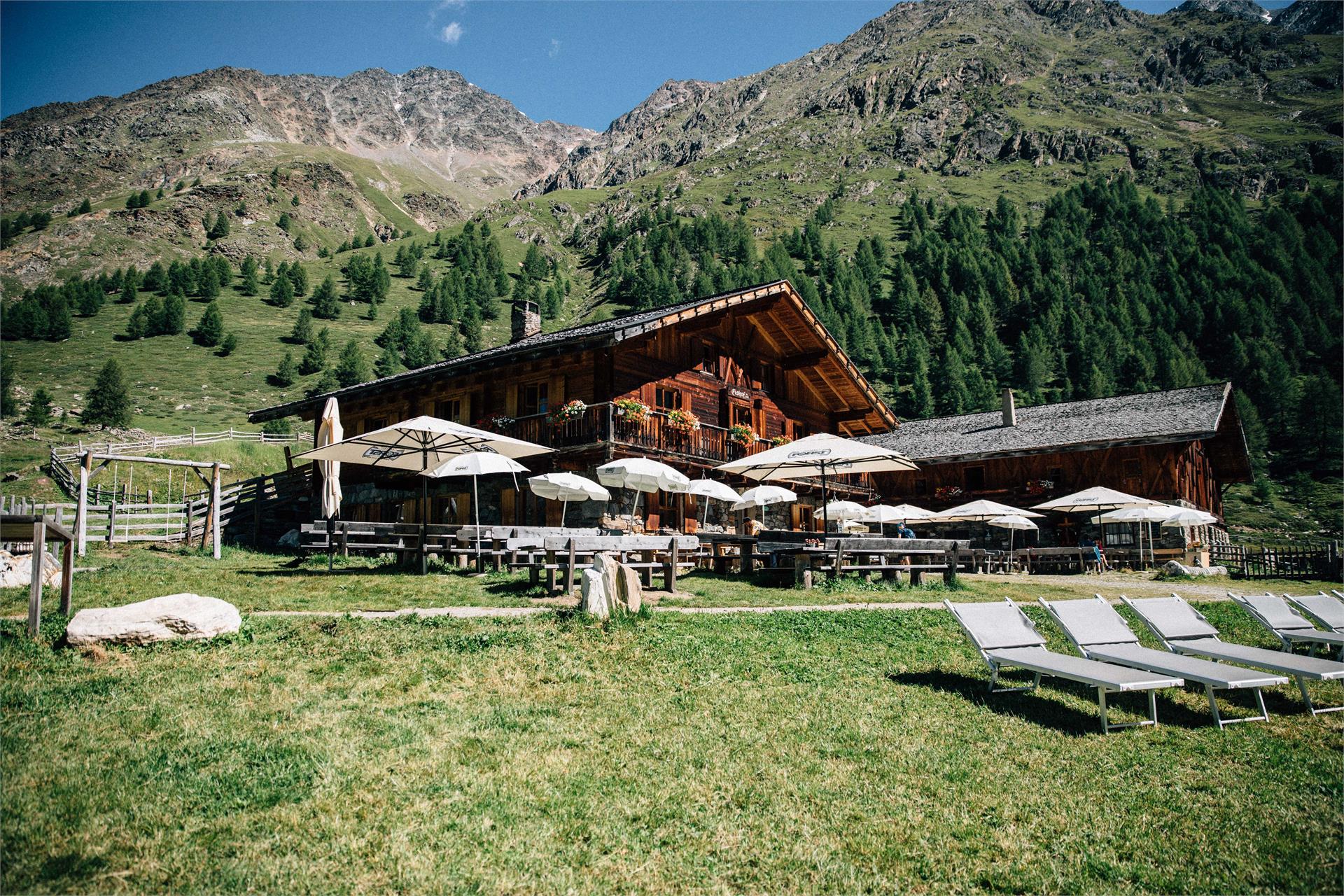 Maso Gelato Senales 1 suedtirol.info