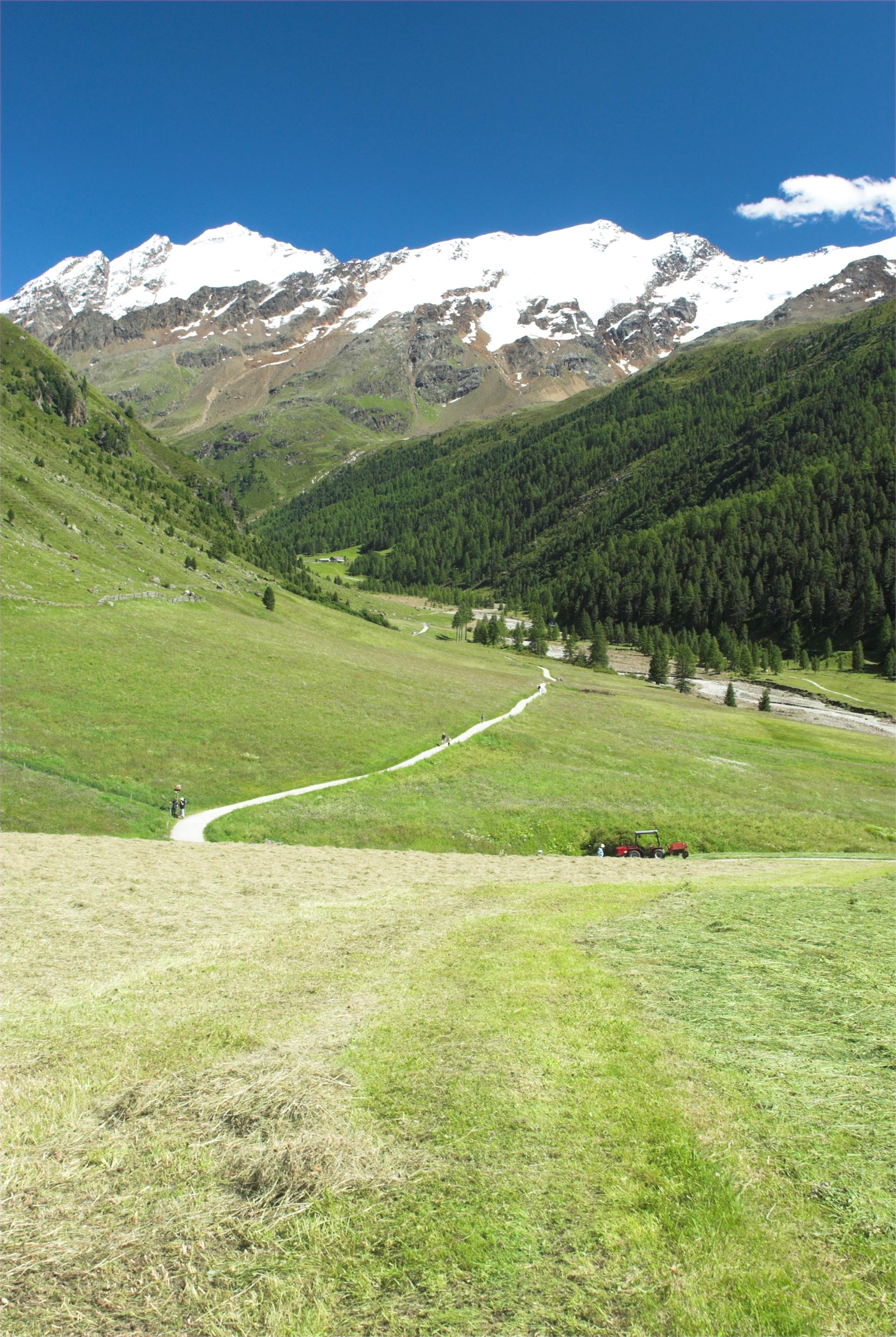 Evi's Hüttl Graun im Vinschgau/Curon Venosta 2 suedtirol.info