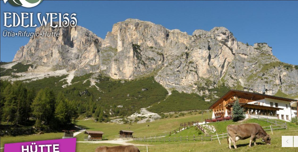 Edelweiss hut Corvara 6 suedtirol.info