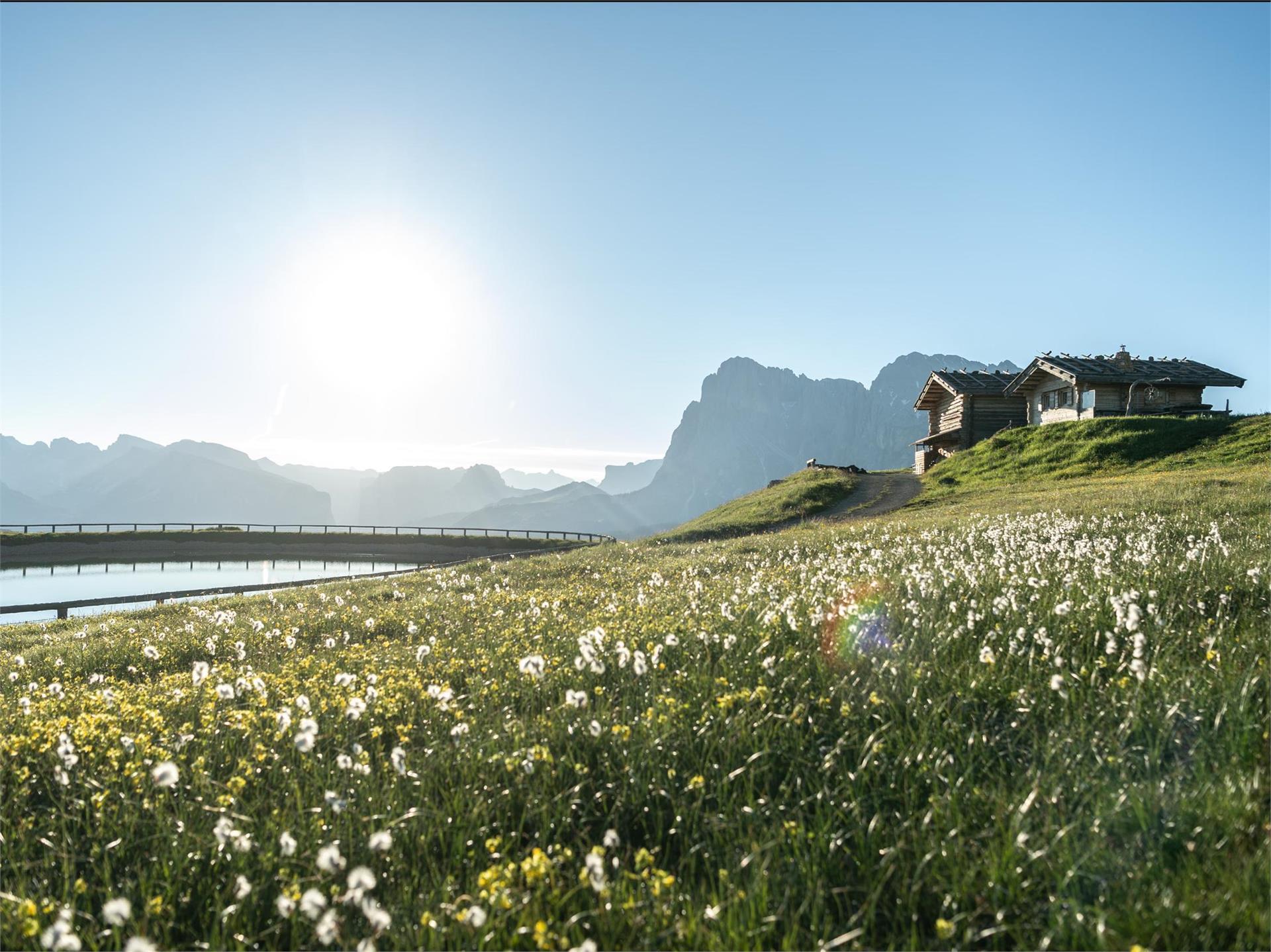 Alpine Star Hut Kastelruth/Castelrotto 2 suedtirol.info