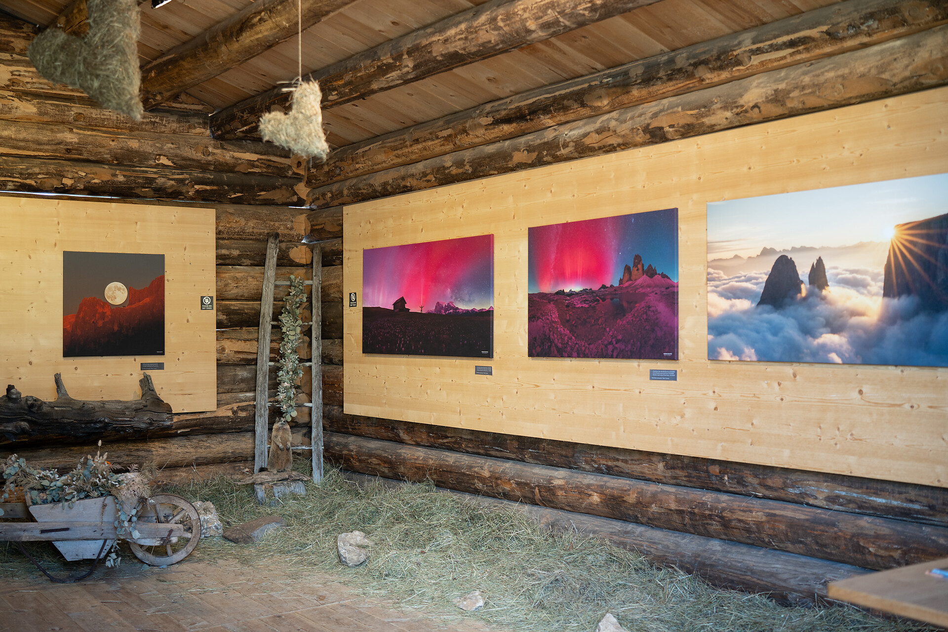 Baita Stella Alpina - Regione dolomitica Alpe di Siusi - #9 - suedtirol.info