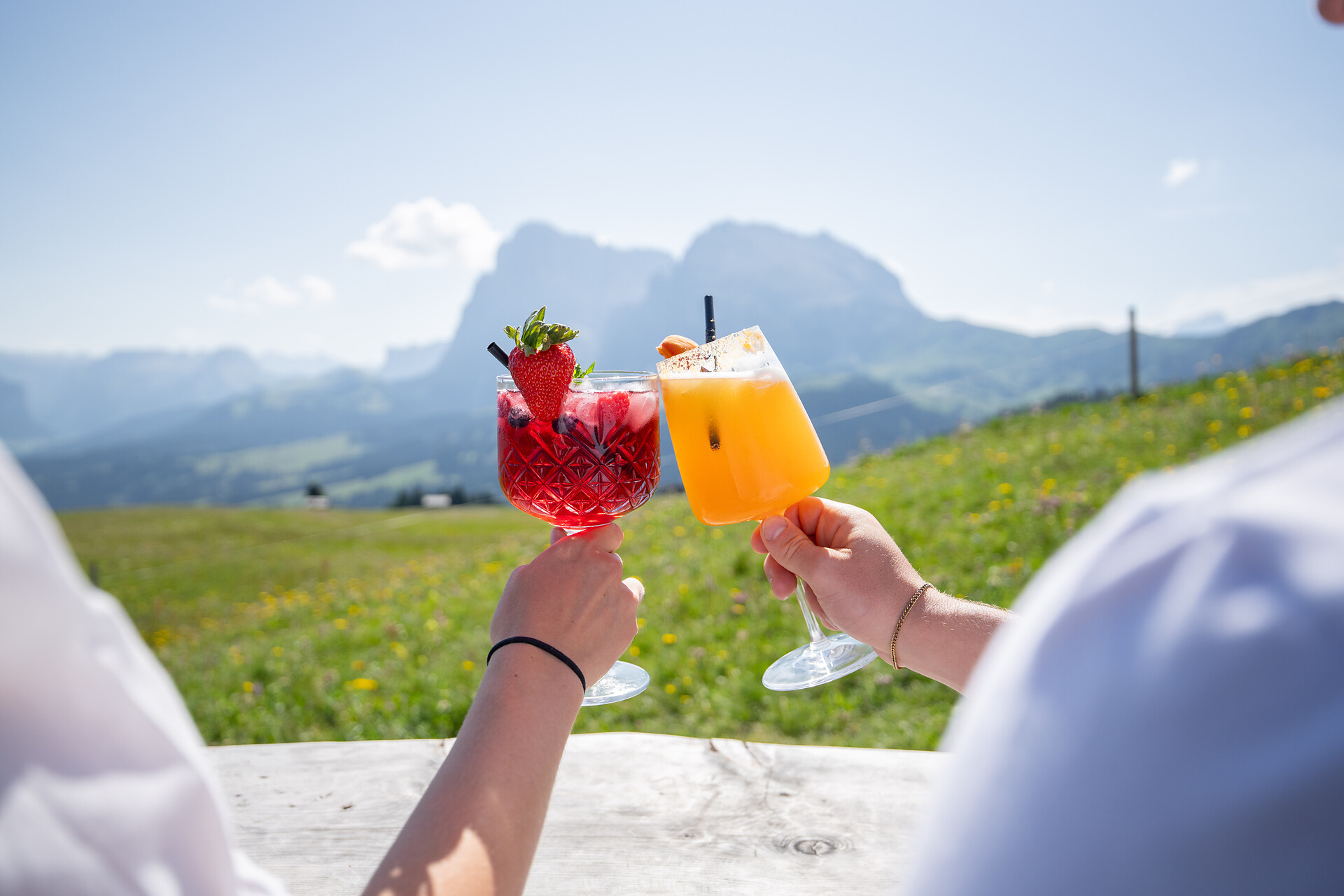 Baita Stella Alpina - Regione dolomitica Alpe di Siusi - #4 - suedtirol.info