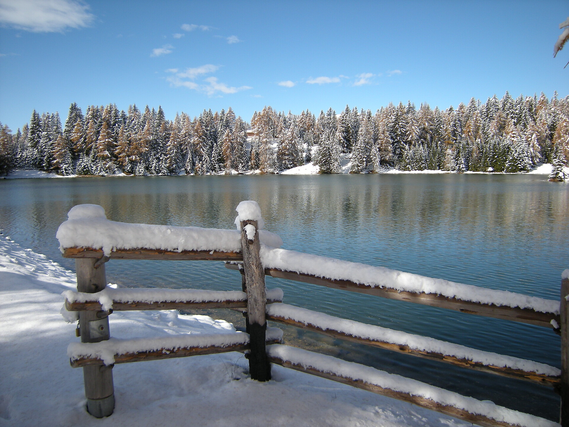 Malga San Felice - 1613m - zona lago di Tret - Merano e dintorni - #1 - suedtirol.info