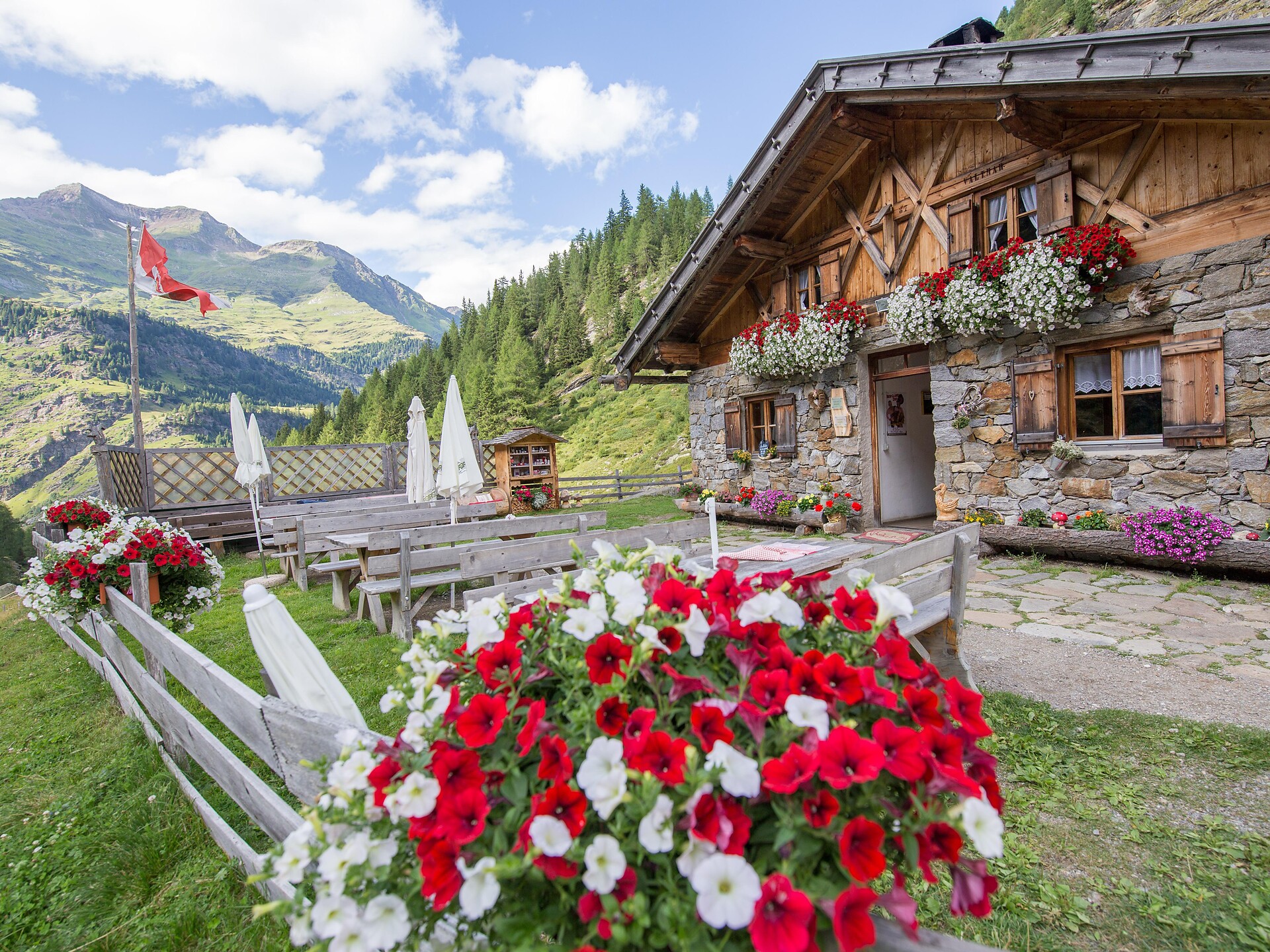 Faltmar Alm Alp