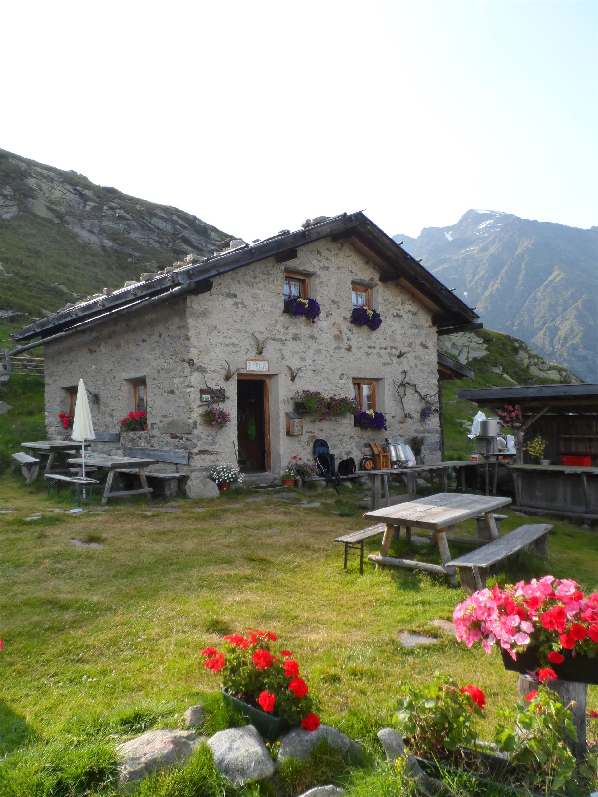 Faglsalm Alp Riffian/Rifiano 6 suedtirol.info