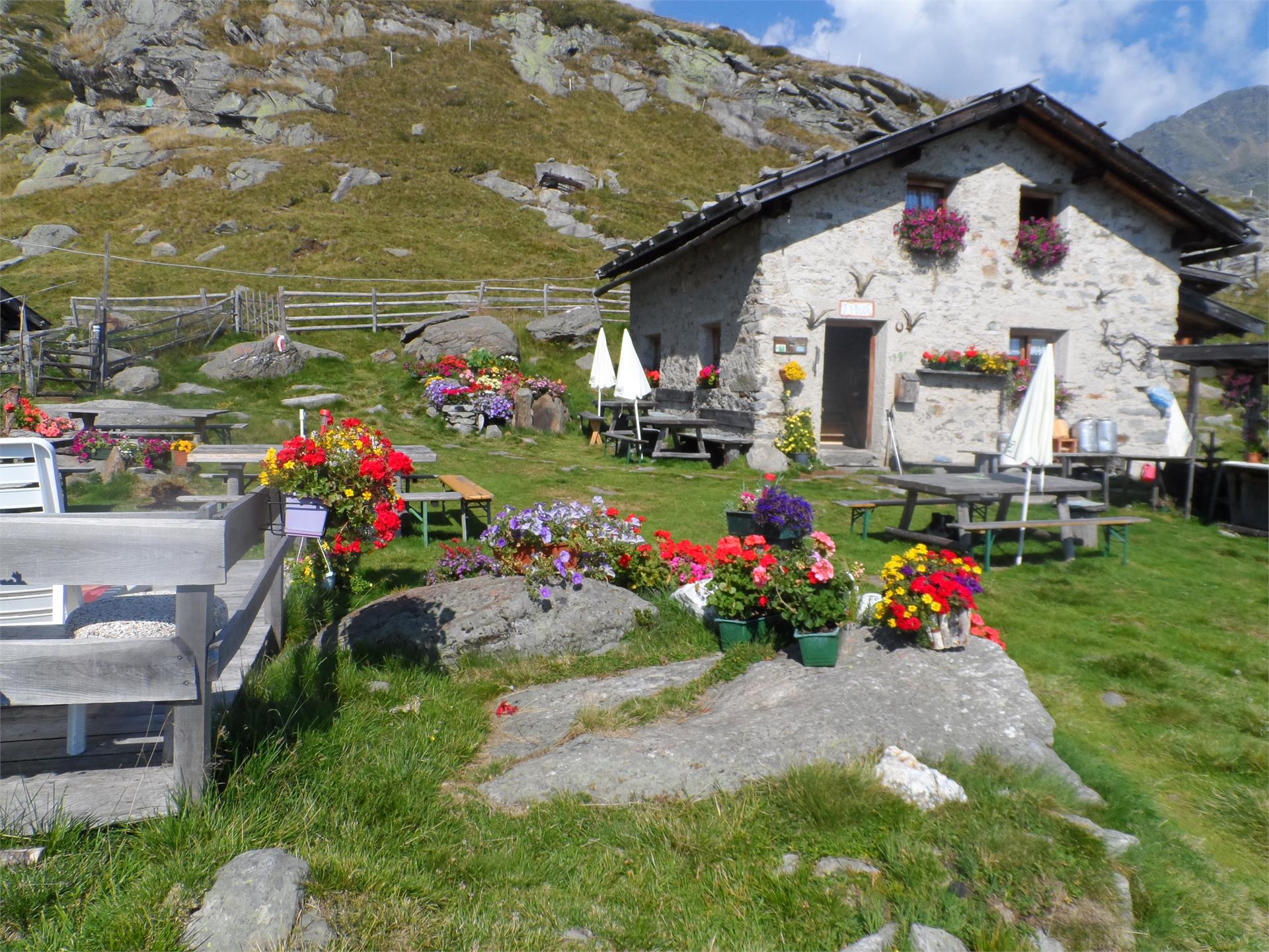 Faglsalm Alp Riffian/Rifiano 1 suedtirol.info