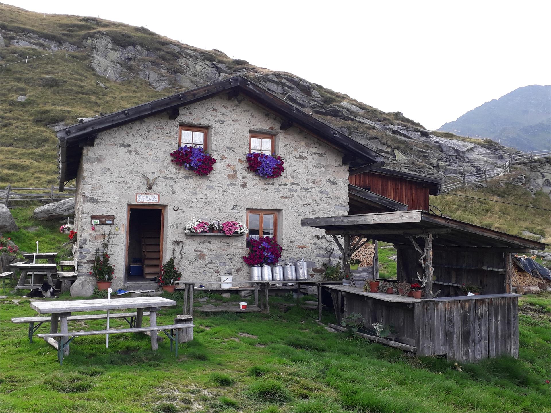 Faglsalm Alp Riffian/Rifiano 4 suedtirol.info