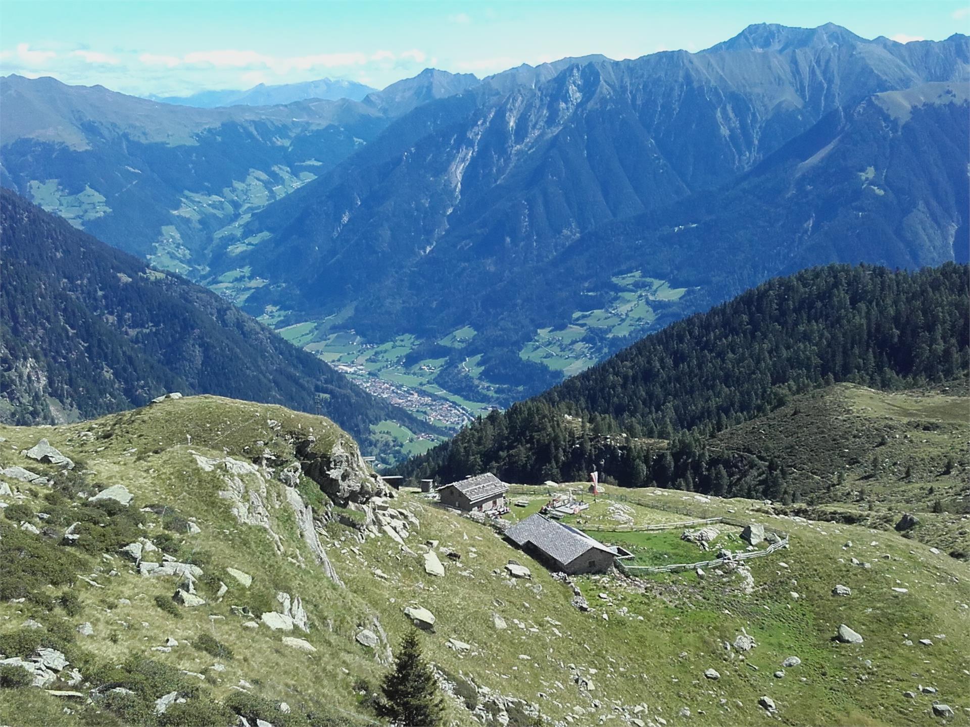 Faglsalm Alp Riffian/Rifiano 5 suedtirol.info