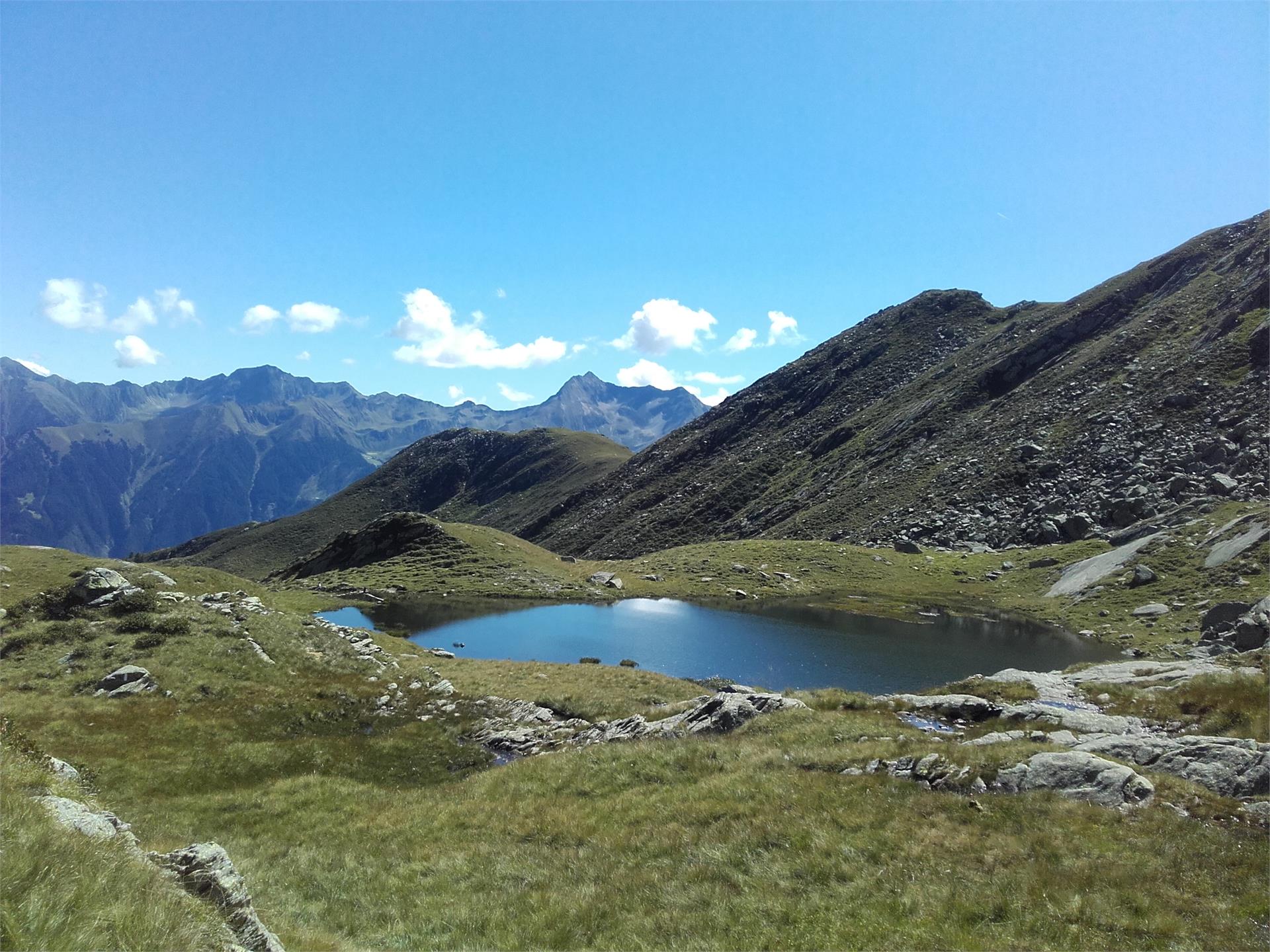 Faglsalm Alp Riffian/Rifiano 3 suedtirol.info