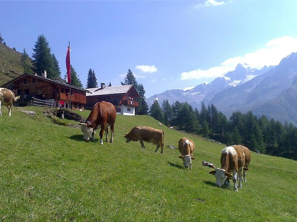 Fuchsalm malga - Valle Aurina - #4 - suedtirol.info