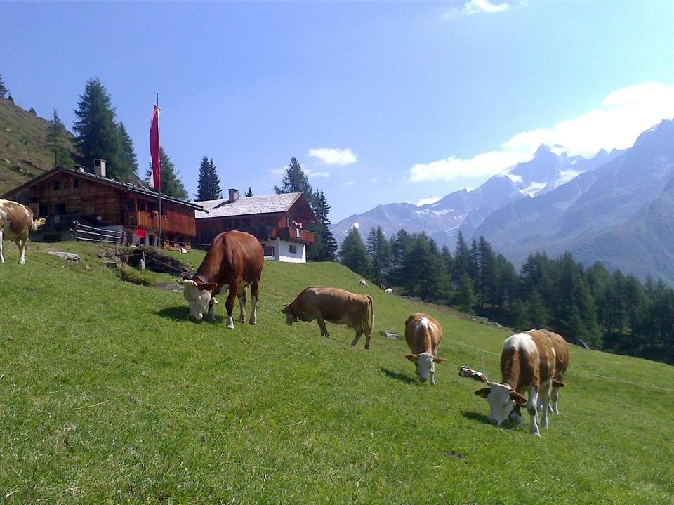 Fuchsalm Prettau 4 suedtirol.info