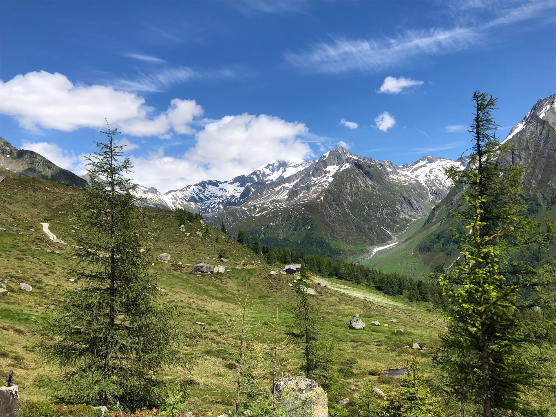 Fuchsalm Prettau 1 suedtirol.info
