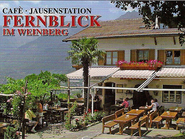 Fernblick im Weinberg - Merano e dintorni - #1 - suedtirol.info