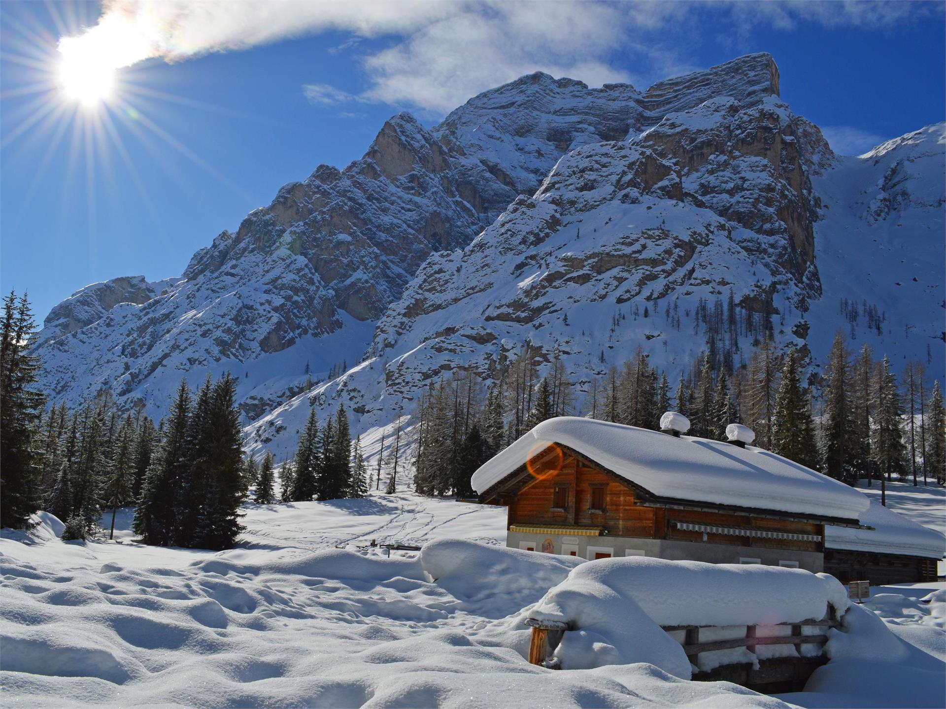 Grünwaldalm Prags 1 suedtirol.info