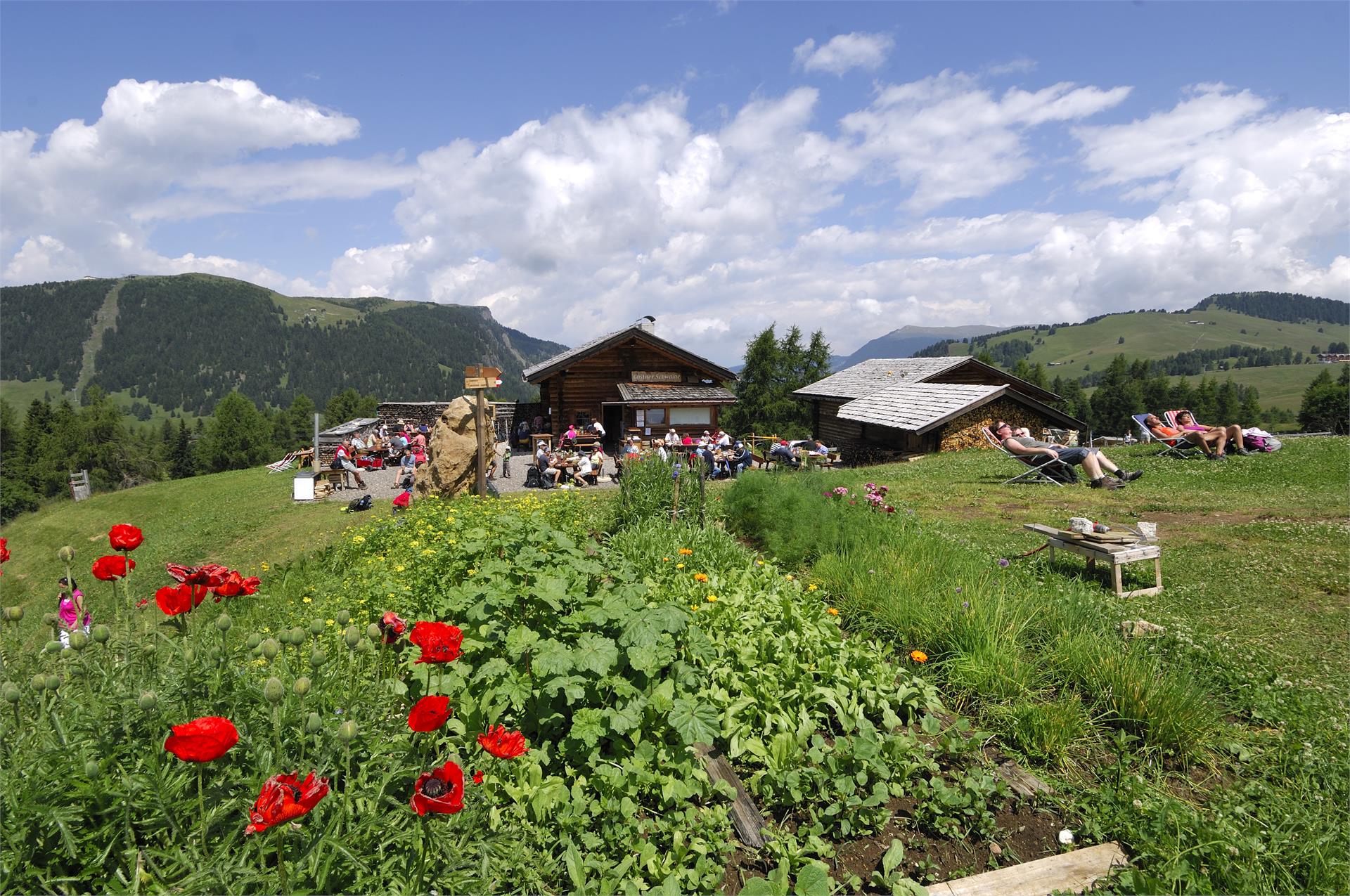 Gostner Kastelruth/Castelrotto 4 suedtirol.info
