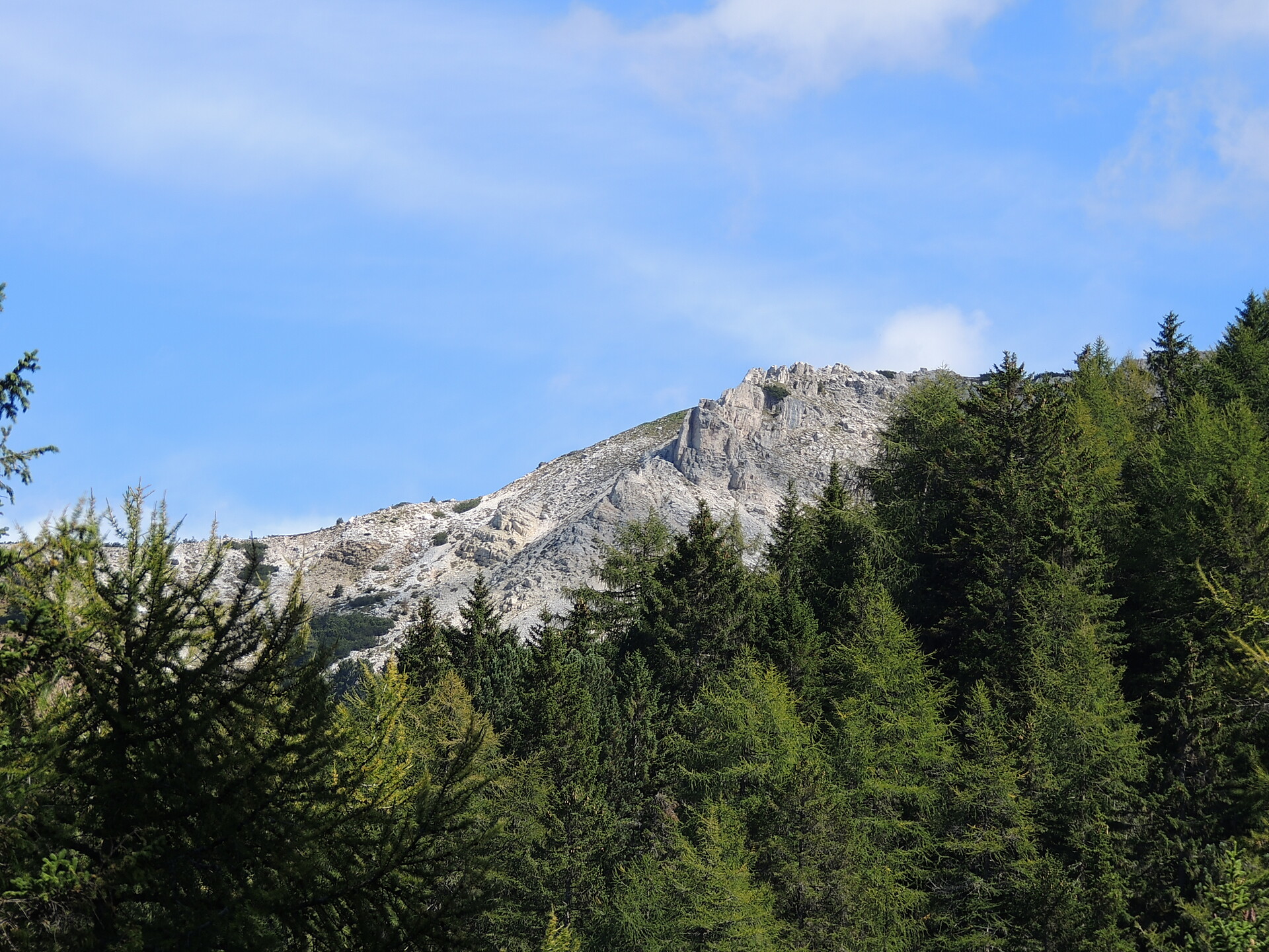 Gasthof Gurndinalm -  - #4 - suedtirol.info