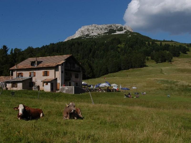 Albergo/Malga Gurndin Aldino 1 suedtirol.info