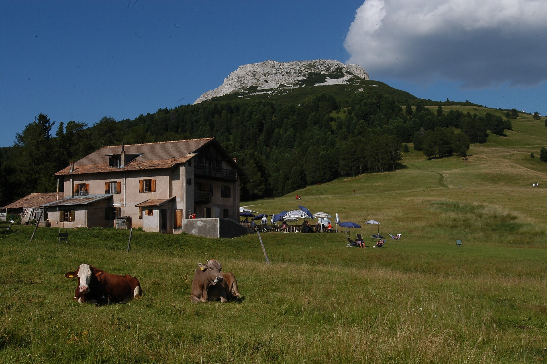 Gasthof Gurndinalm -  - #3 - suedtirol.info