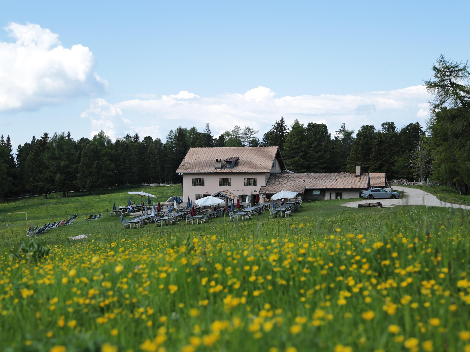 Gasthof Gurndinalm -  - #1 - suedtirol.info
