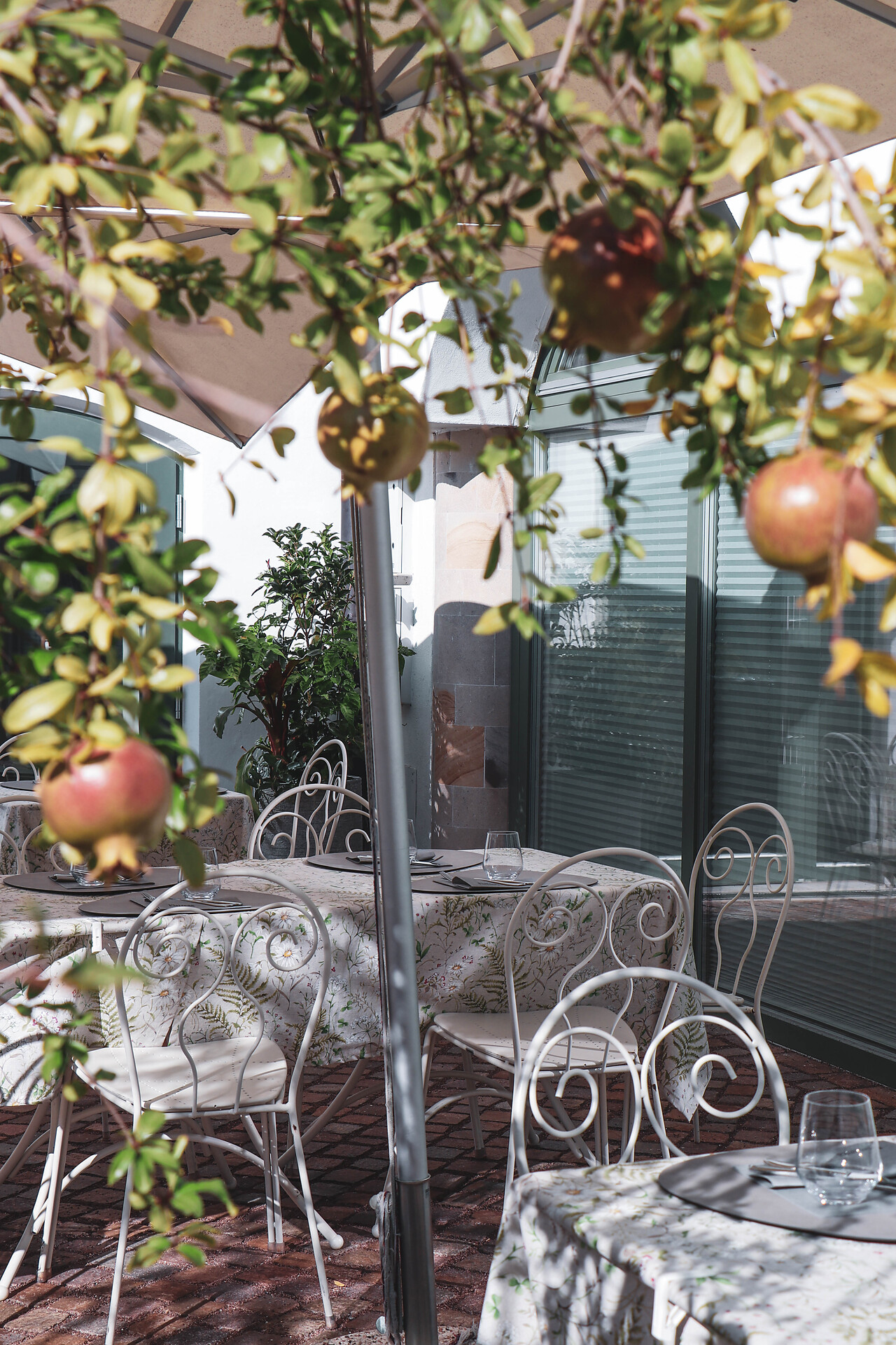 Terrazza