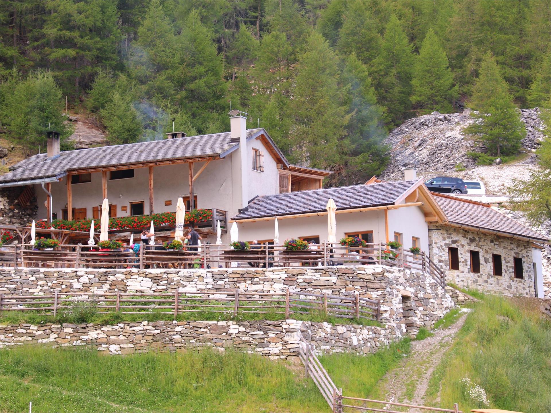 Malga Covelano Silandro 1 suedtirol.info