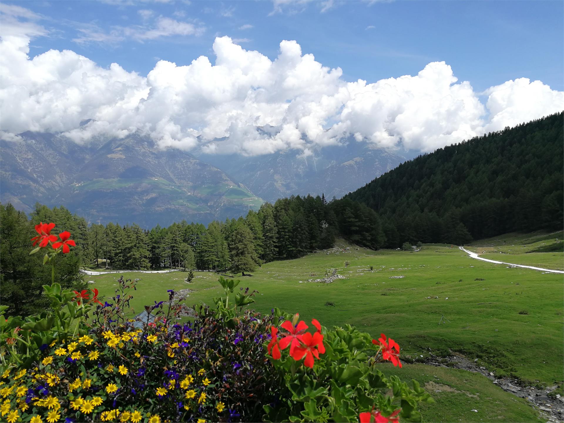 Malga Covelano Silandro 3 suedtirol.info
