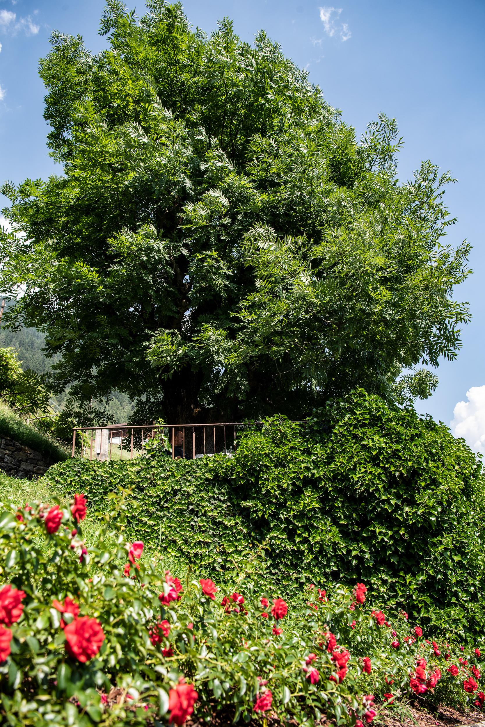 Gasthaus Prünster Partschins/Parcines 3 suedtirol.info