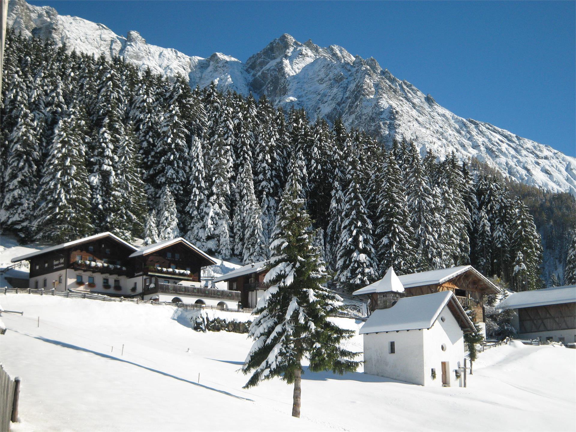 Gasthaus Haashof Schenna 1 suedtirol.info