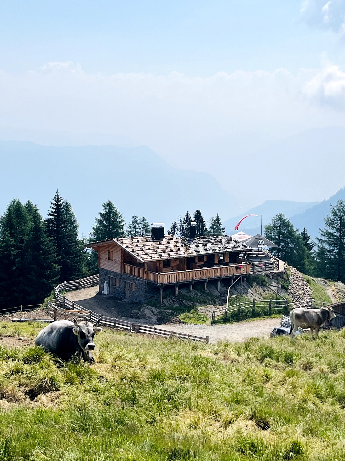 Gfrillner Laugenalm - Meran und Umgebung - #1 - suedtirol.info