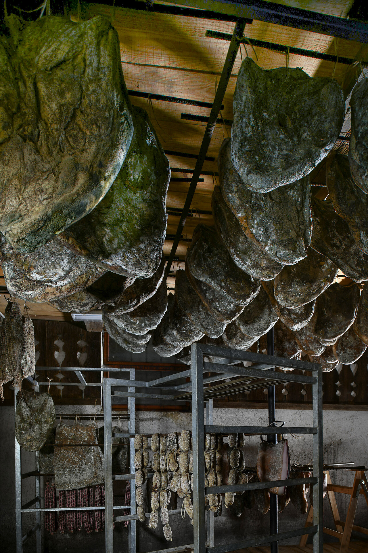 Cellar Speck